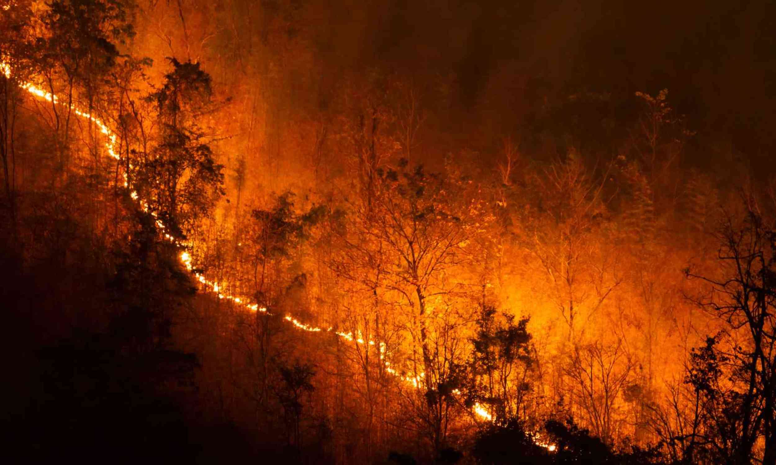 Wildfires are climbing Europe’s mountains as heat dries forests