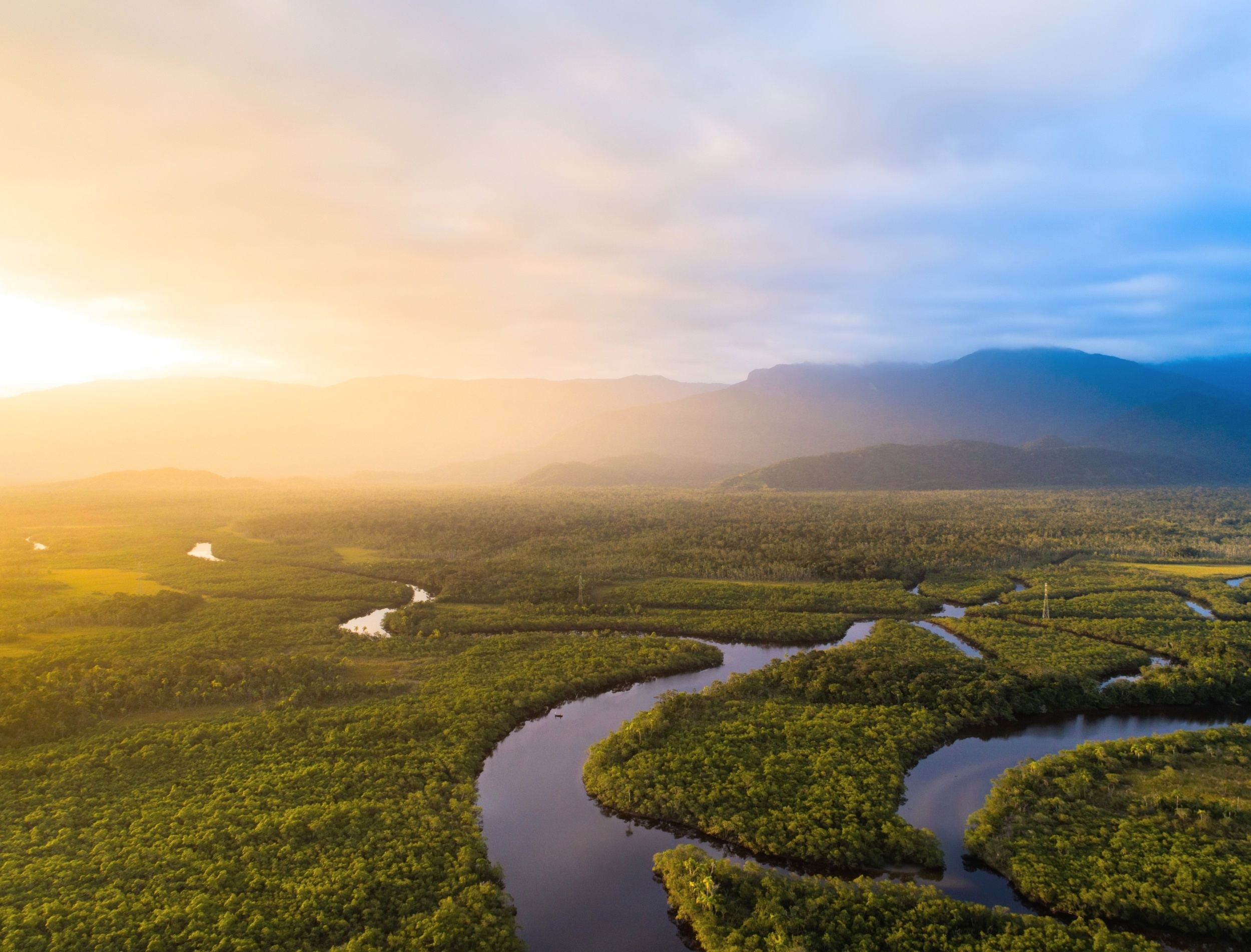 Amazon rainforest may collapse even if warming stays below 1.5°C