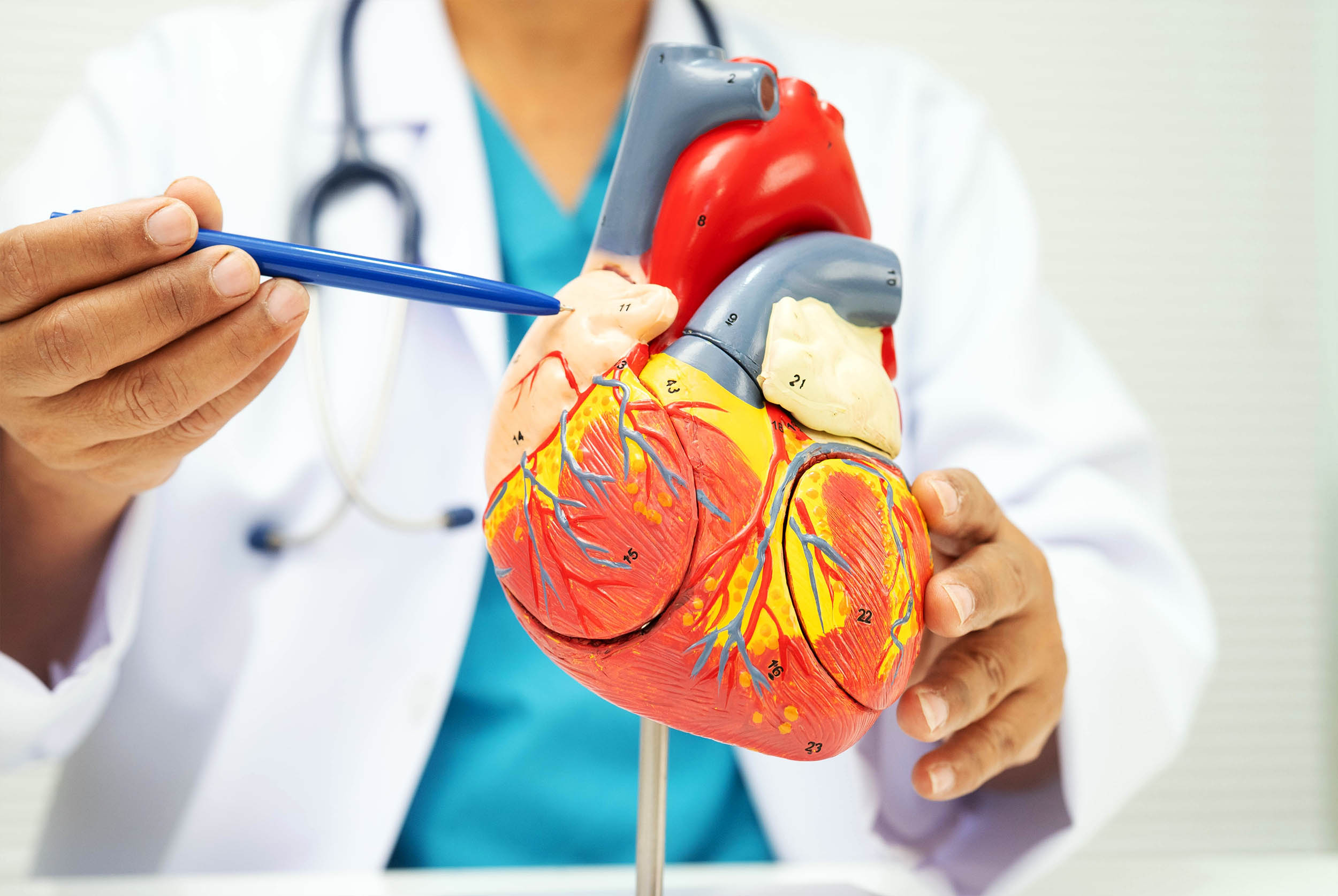 Five key numbers predict a person's future heart health risks