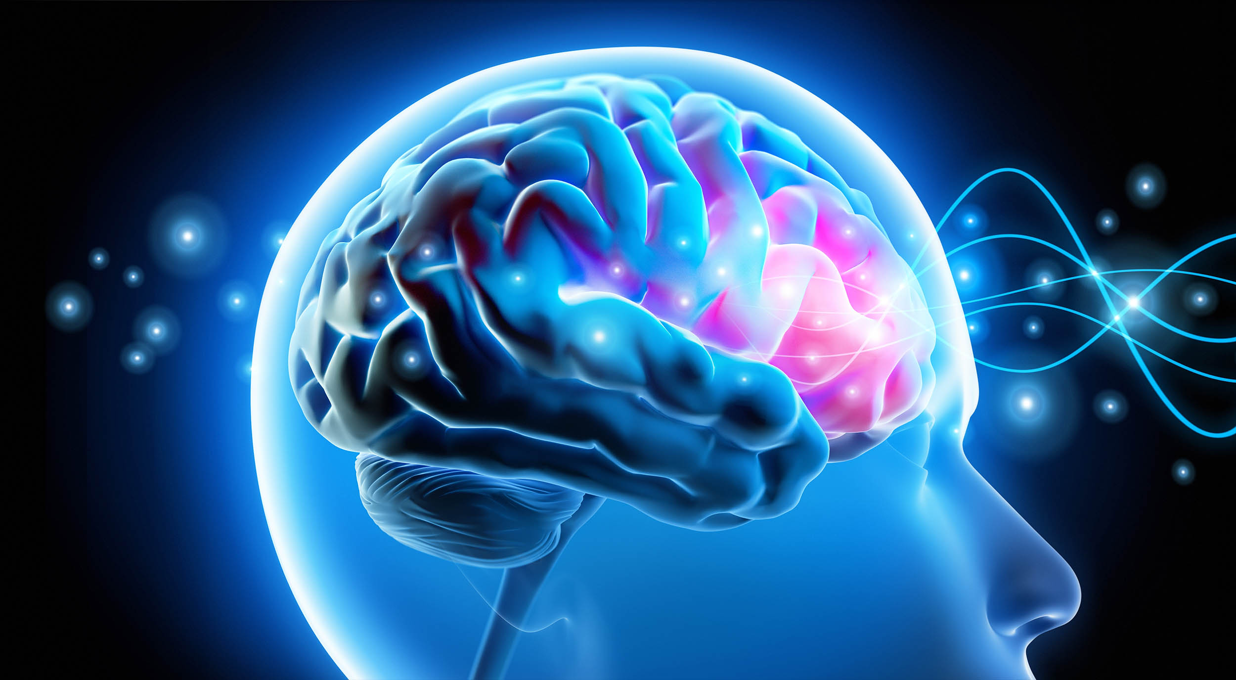 Your Brain Starts Deciding Before You 'Think,' a New Study Finds — With Lessons for AI