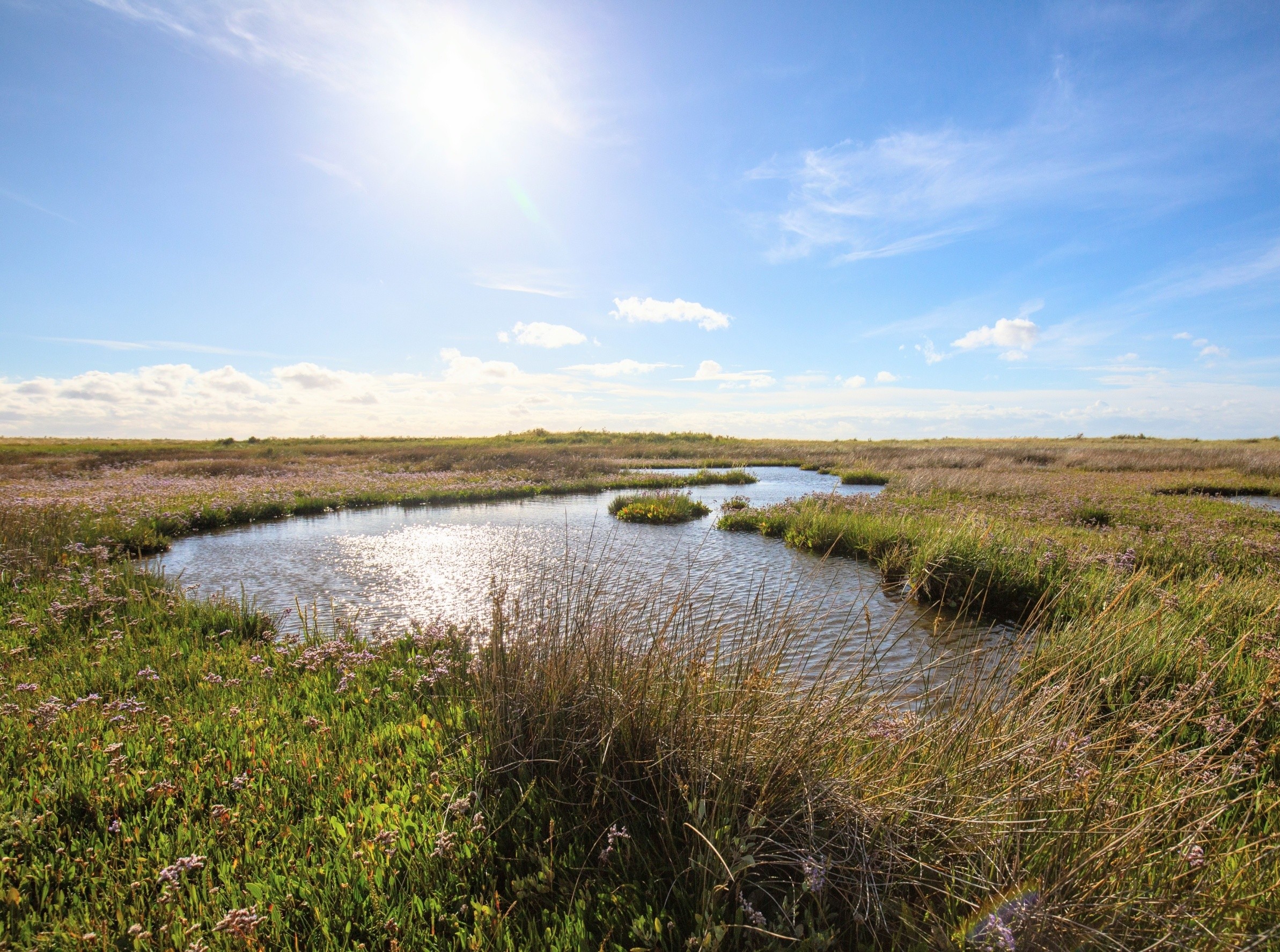 Coastal habitats face a sea-level threat that has been overlooked by climate scientists until now