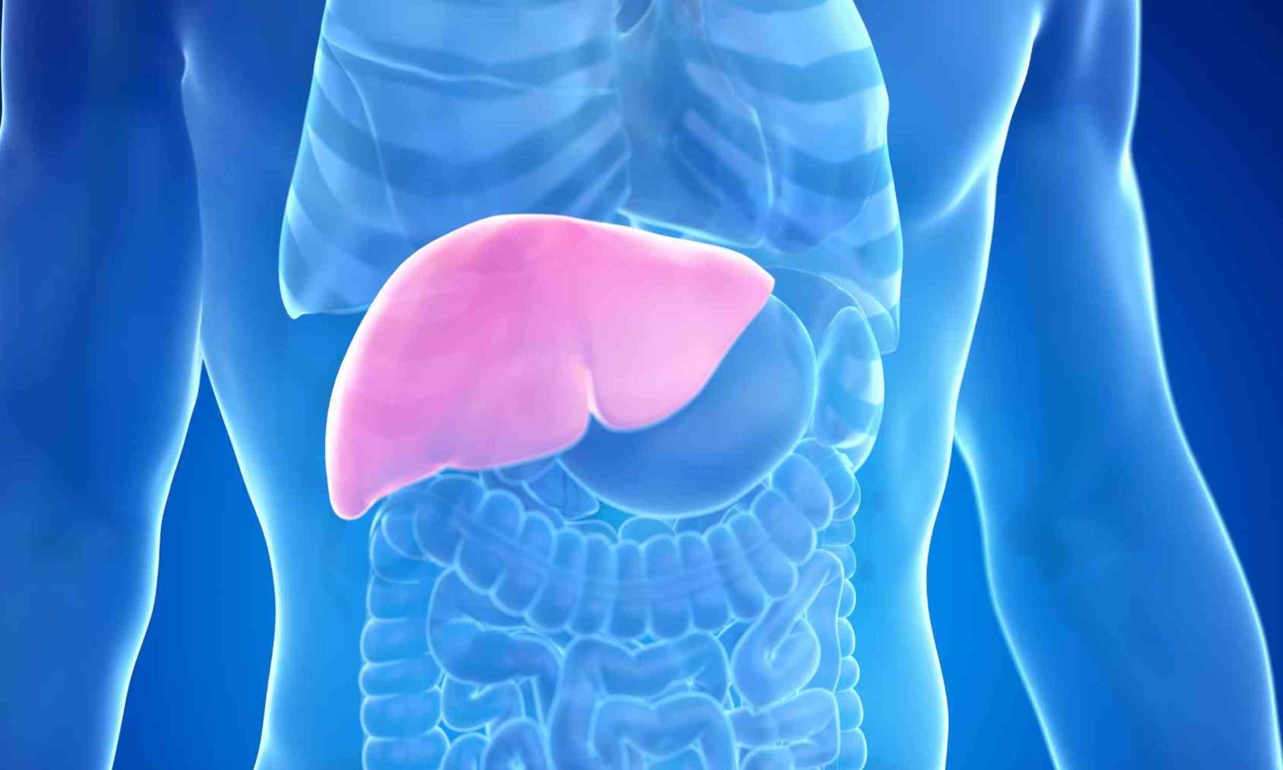 Common asthma drug may help damaged livers recover - Earth.com