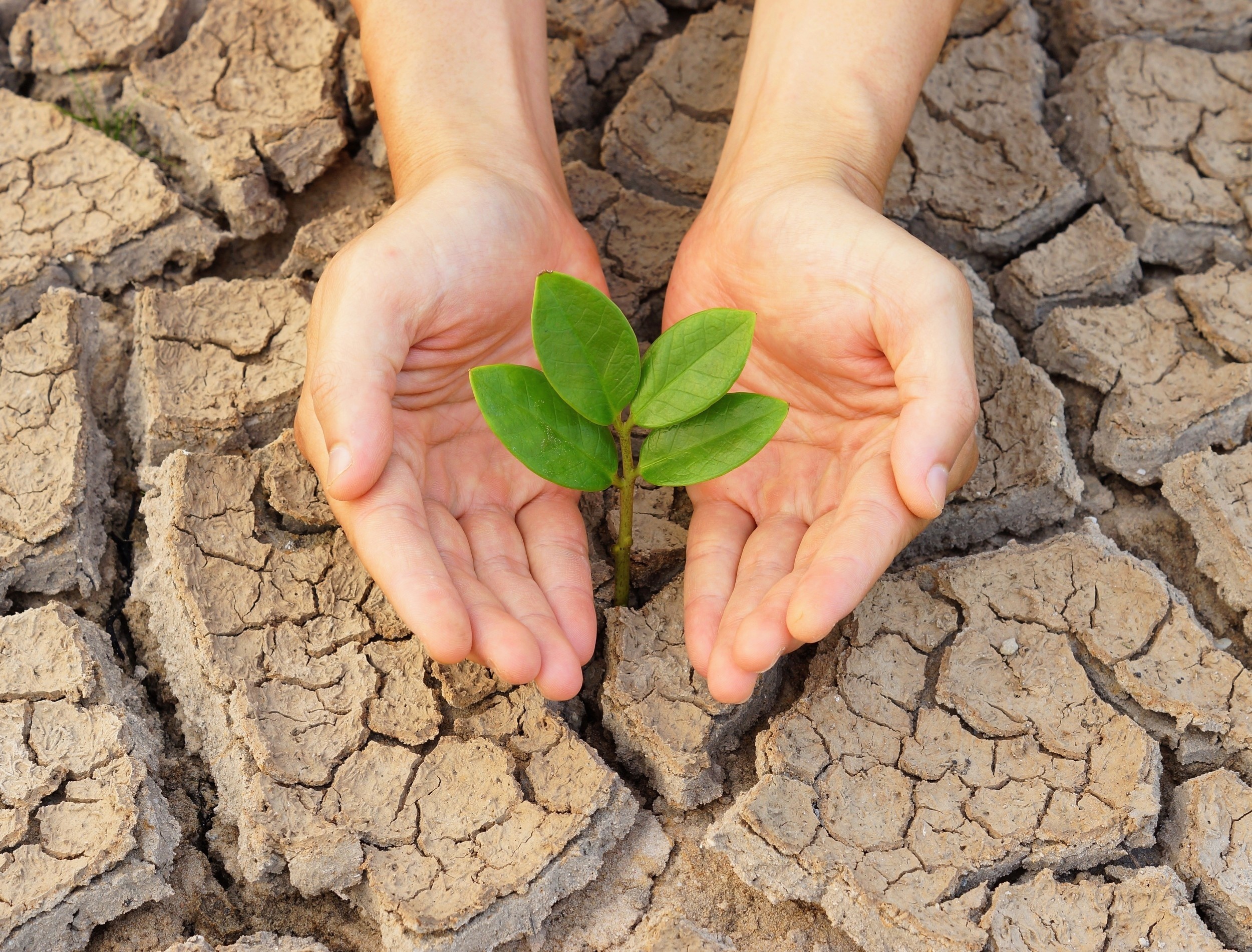 Messages of hope are more effective than fear mongering in promoting effective environmental problem solving