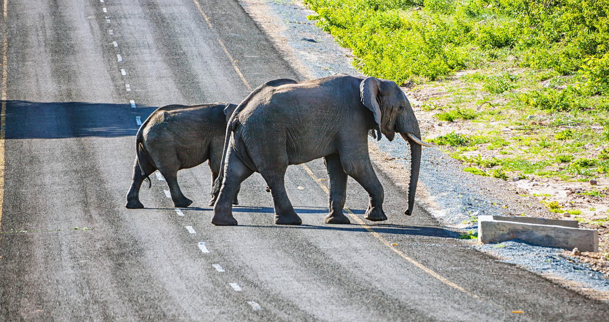 Support local people to reach world's conservation goals - Earth.com