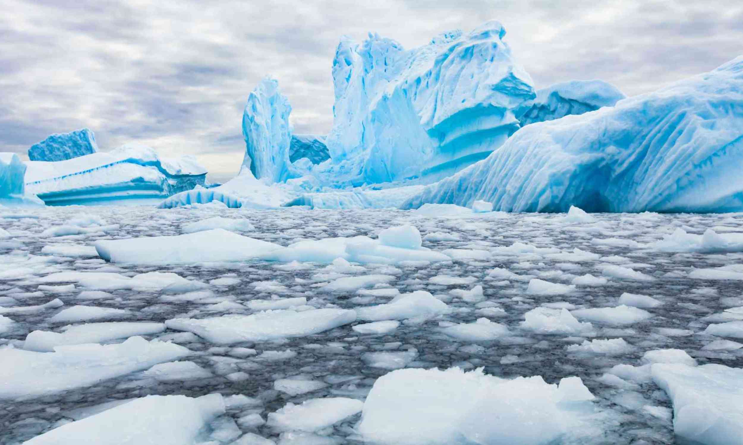 Antarctic plastic debris is hiding antibiotic resistance in one of Earth’s cleanest places