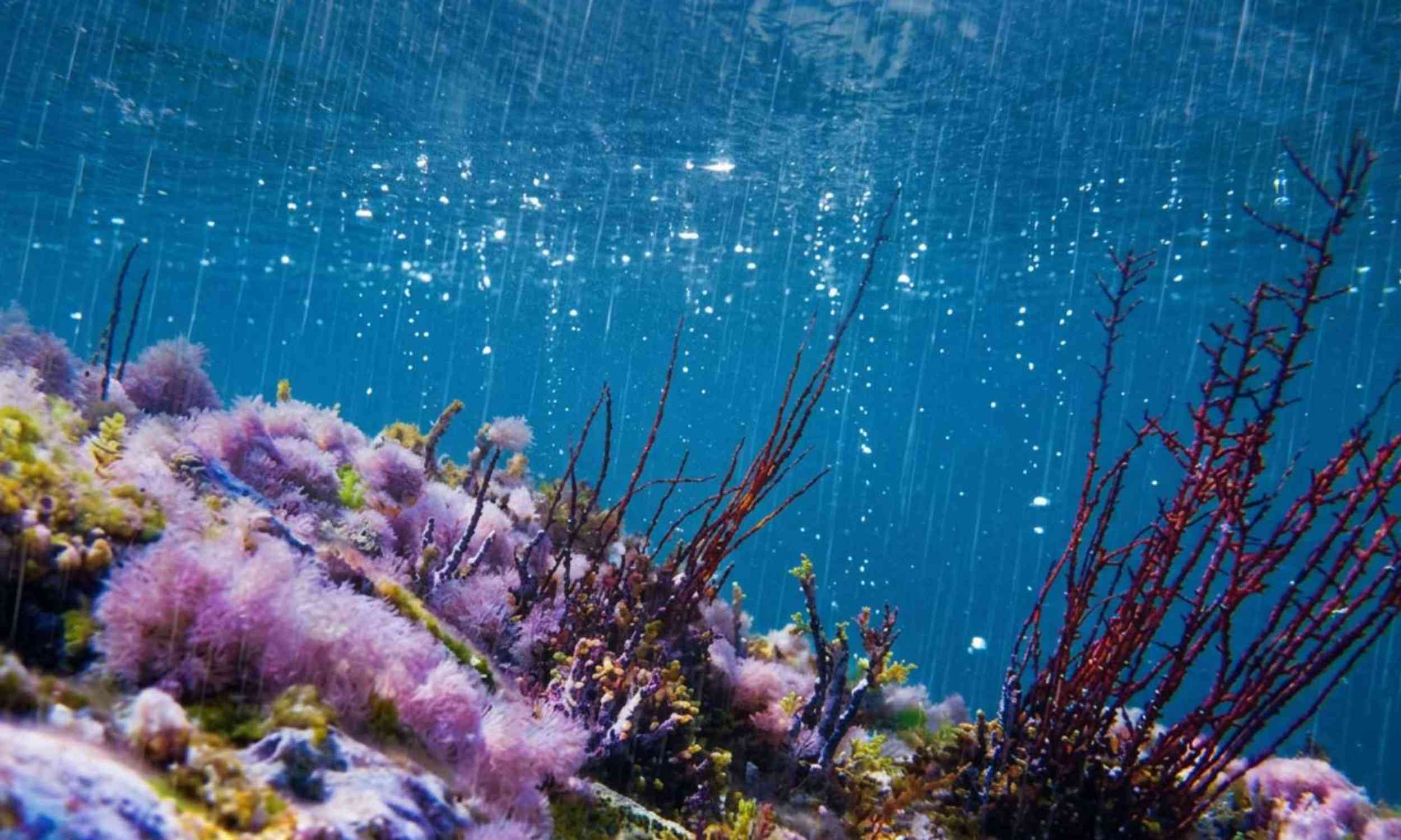Climate change may make winter storms harsher on the seafloor