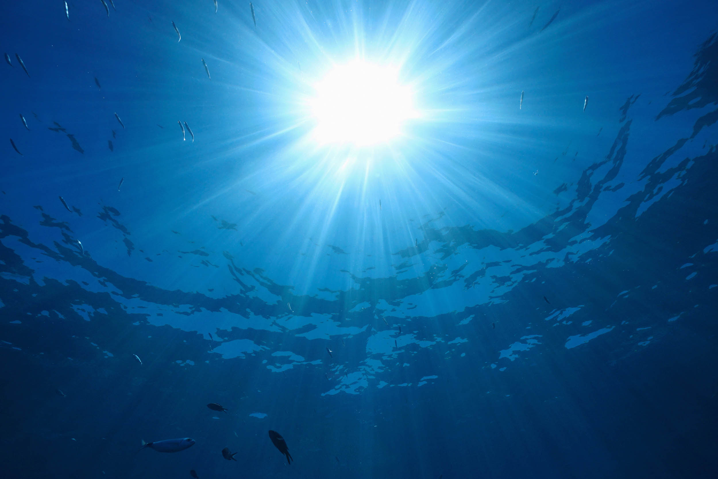 Large weather structures are driving unexpected spikes in ocean gas emissions that peak several days after the brightest sunlight