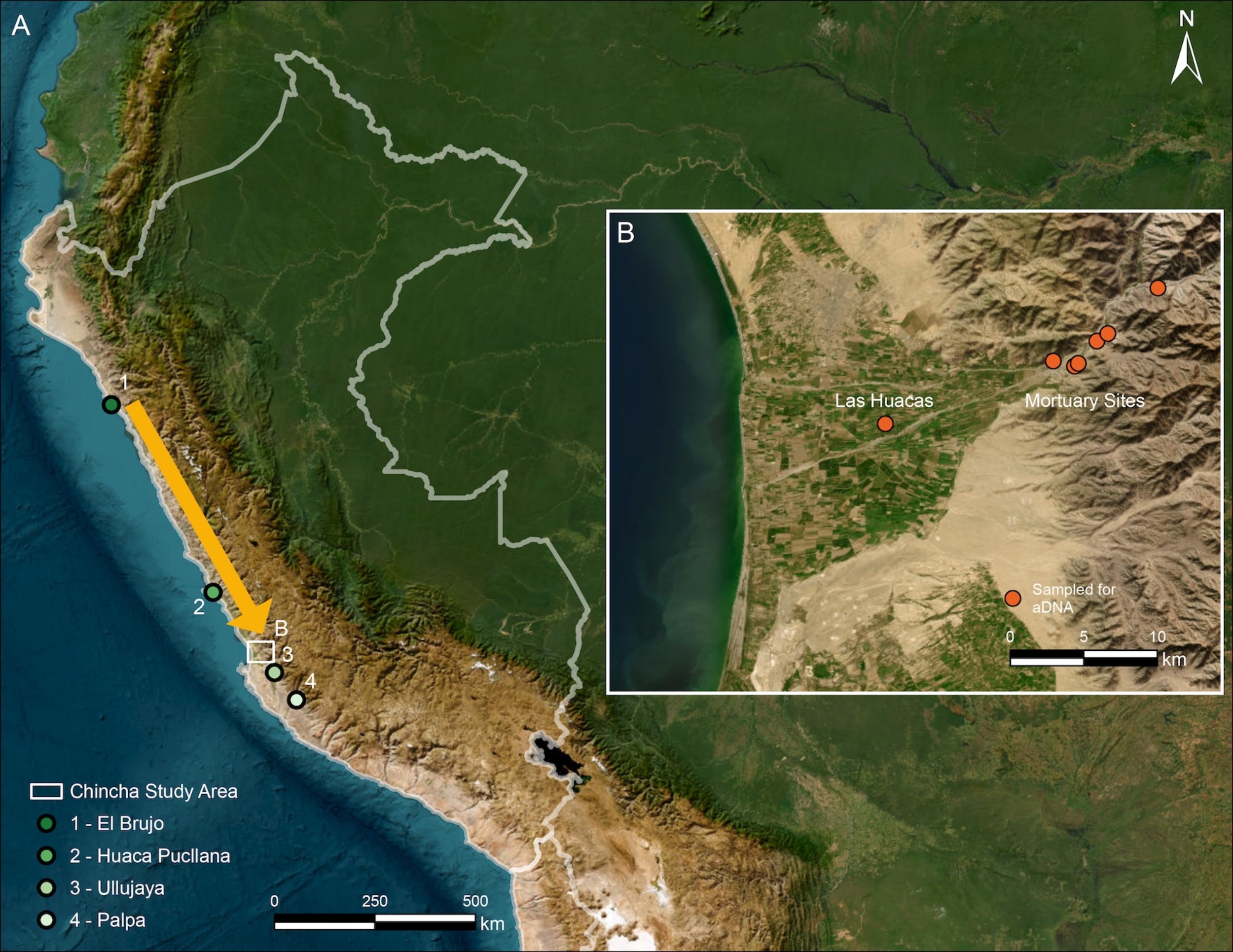 People migrated along Peru’s coast centuries before the Inca, DNA reveals