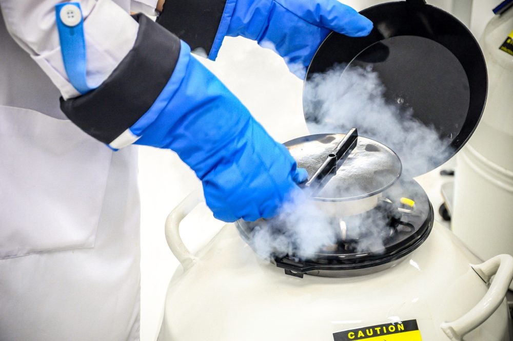 Scientists preserve an entire pig brain using a technique that will now be offered to humans who hope to be reanimated in the future