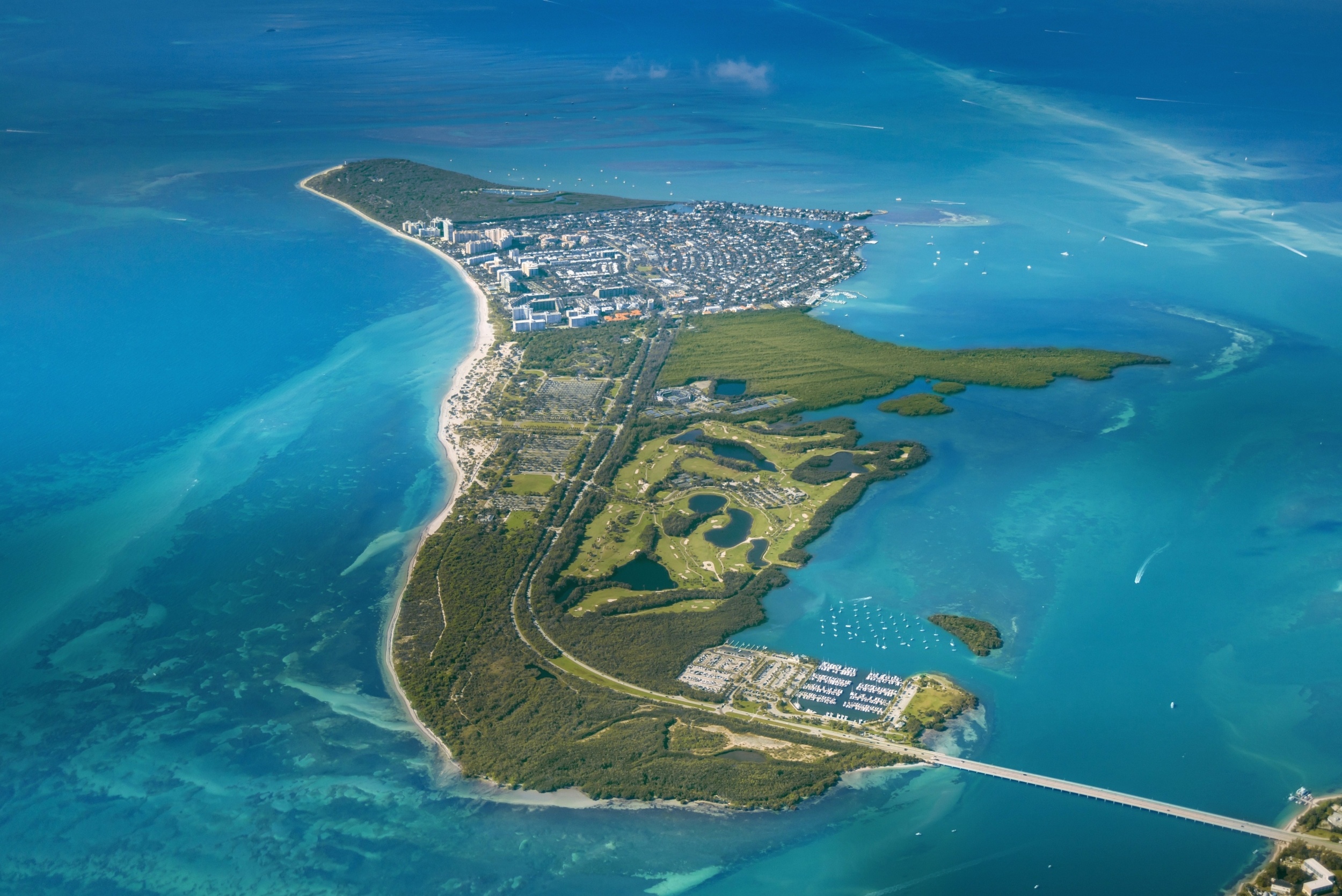 Climate stress has transformed the waters of Biscayne Bay