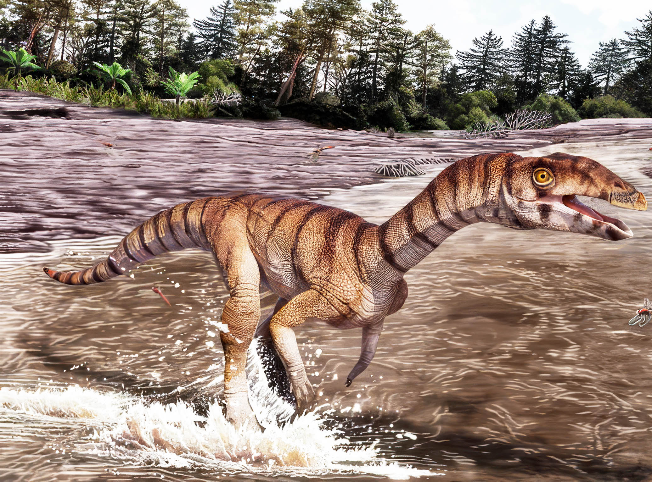 Bizarre 'Witch Croc' evolved into a modern crocodile but looked and behaved more like an ostrich