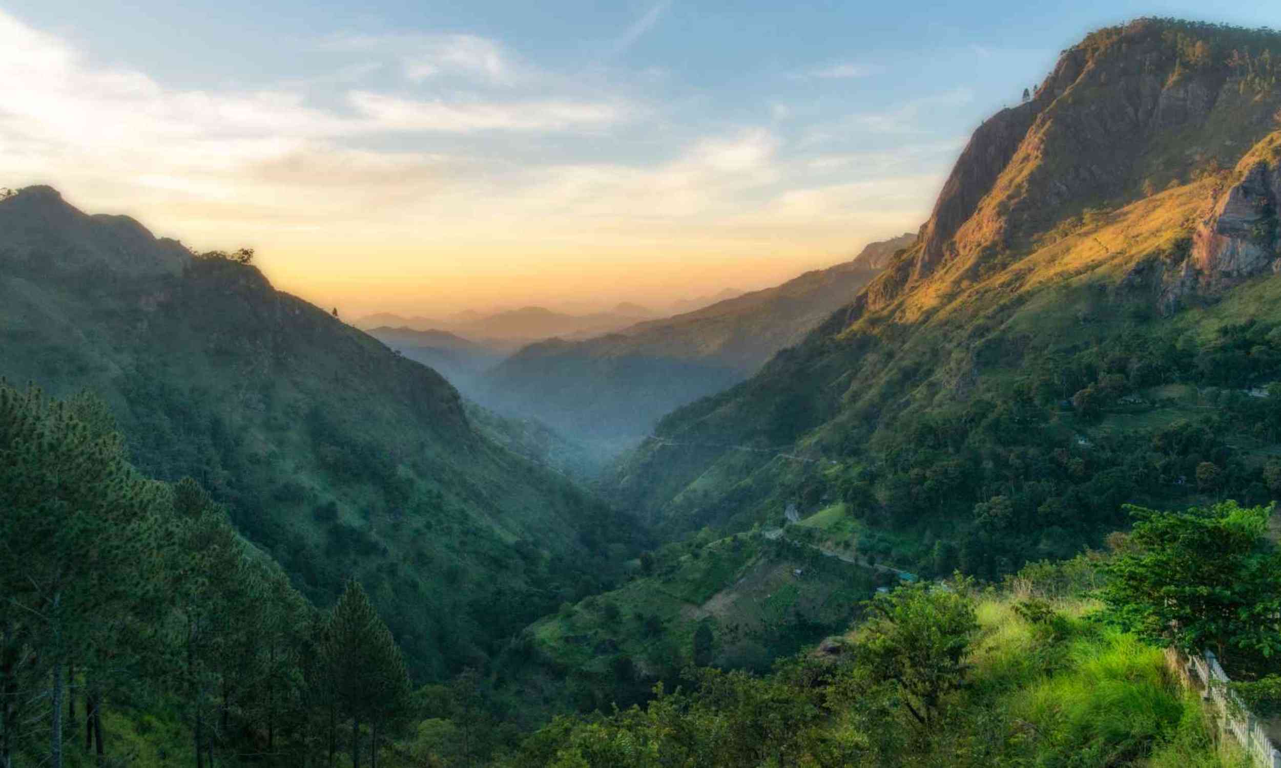 Ancient teeth reveal rainforest people laid the groundwork for farming long before crops existed