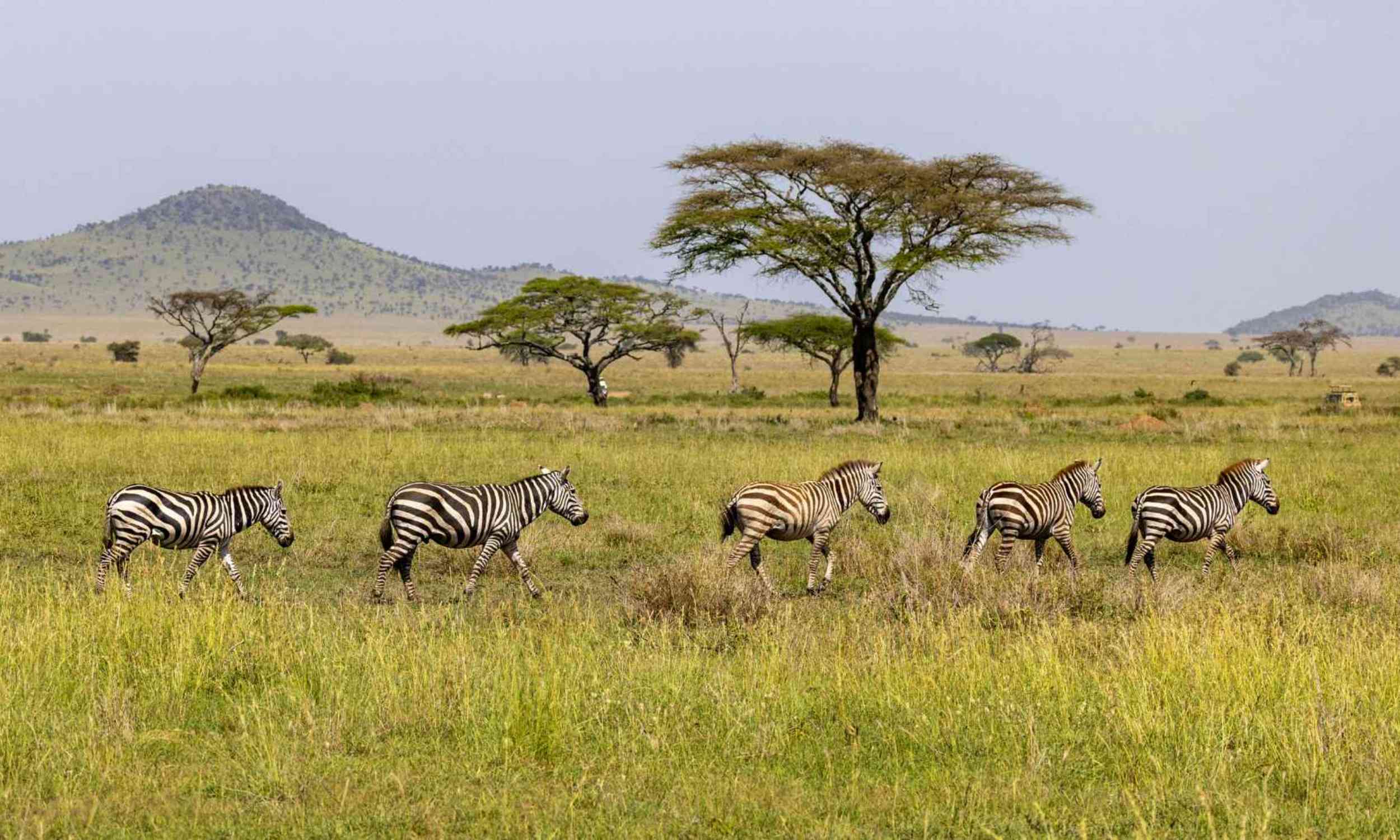 Protected parks are not enough to save Africa’s biodiversity, scientists warn