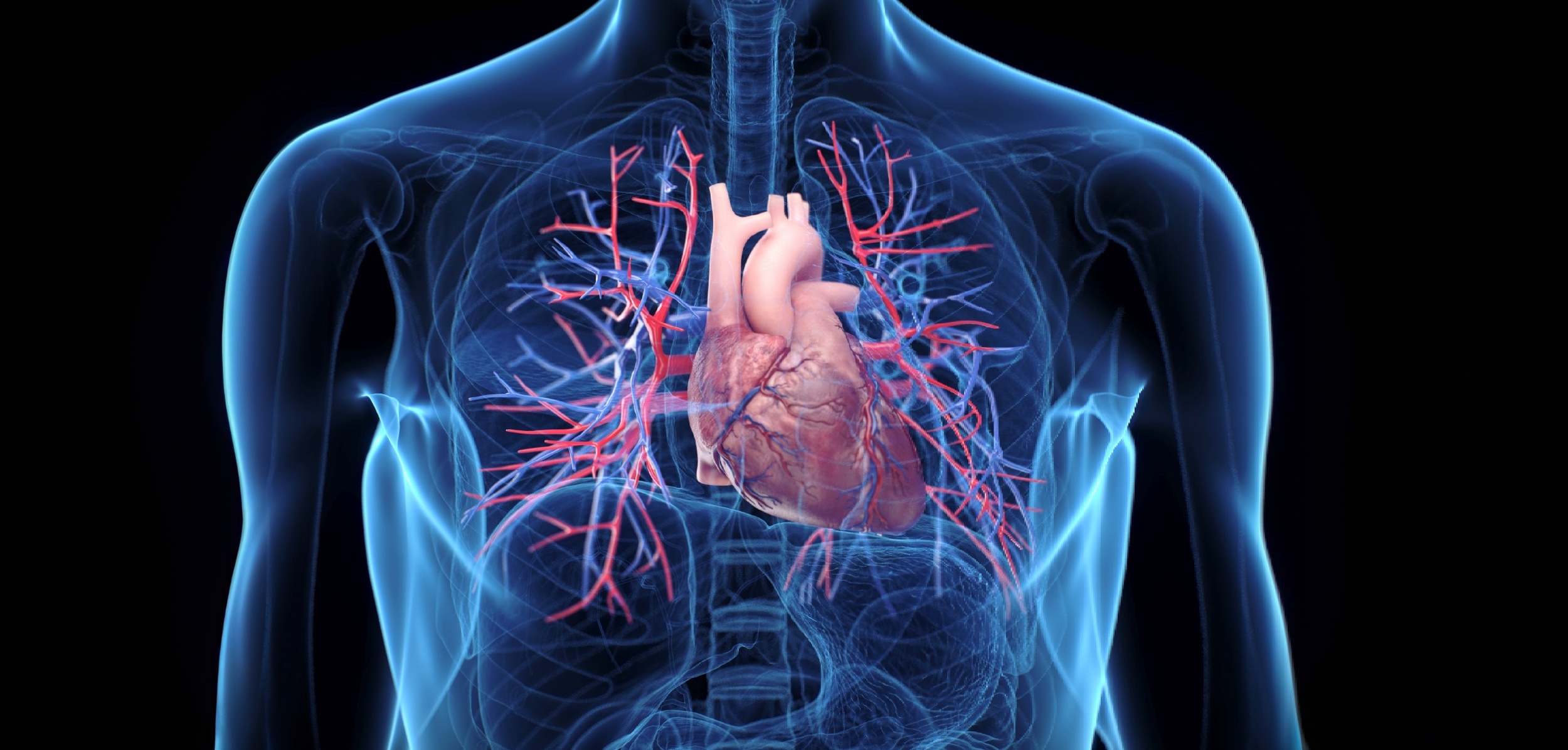 One side of the heart fights longer during cardiac arrest