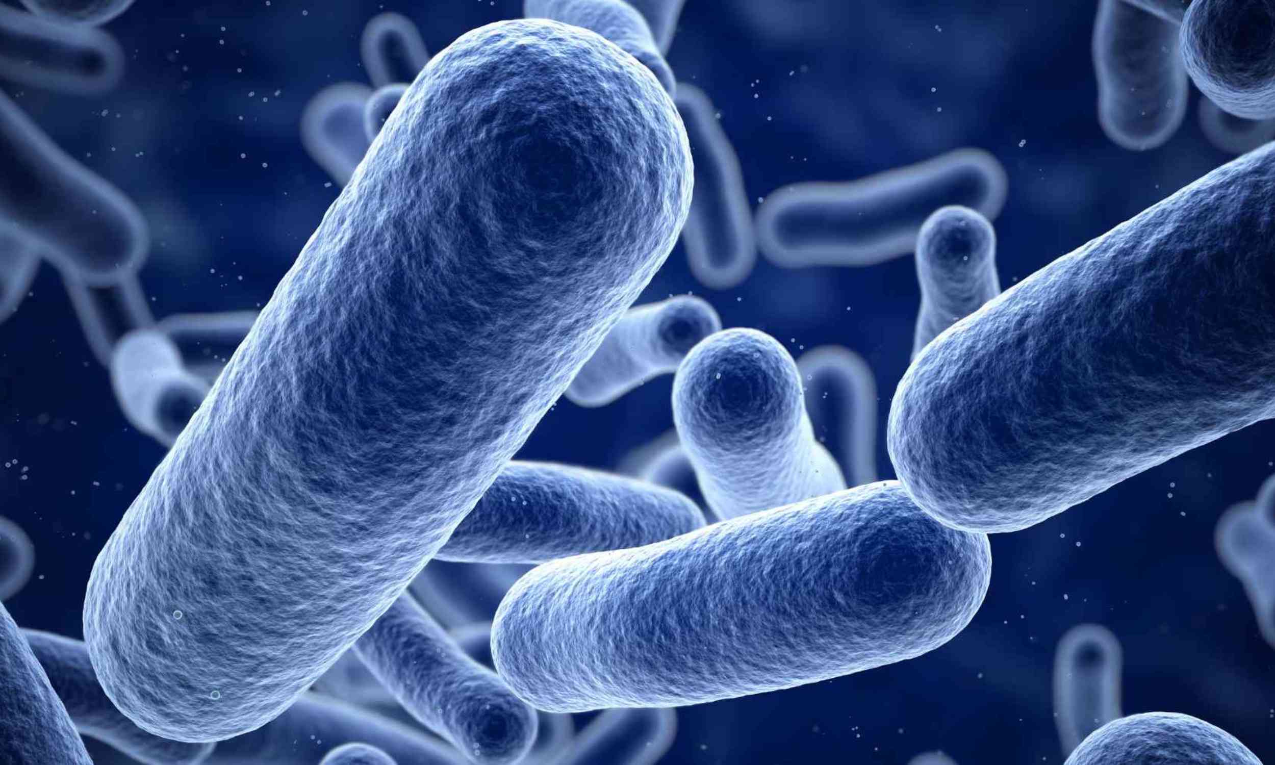 A hidden enzyme in common bacteria may help make cleaner dyes and medicines