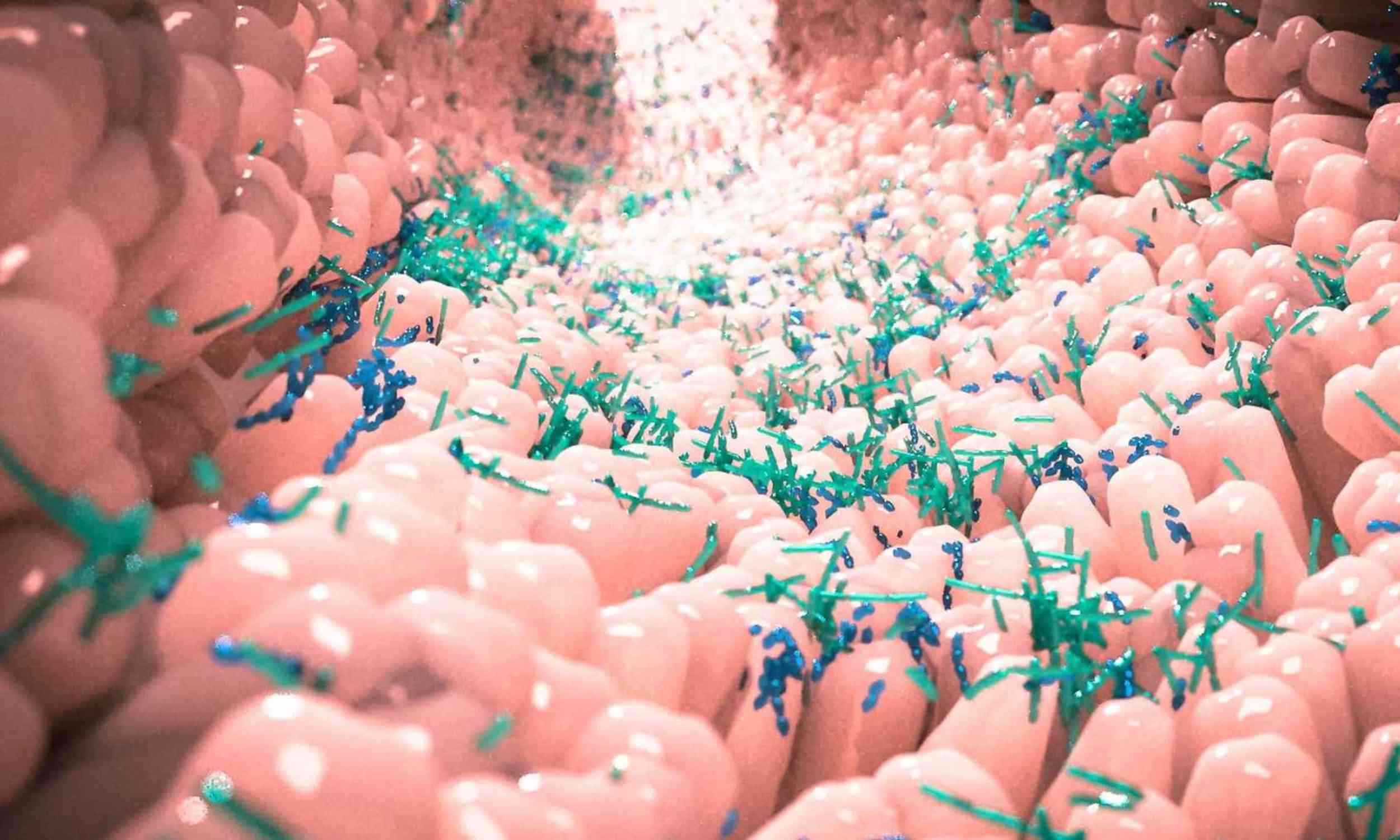 A new gut bacteria mix may help doctors move past a treatment many patients fear