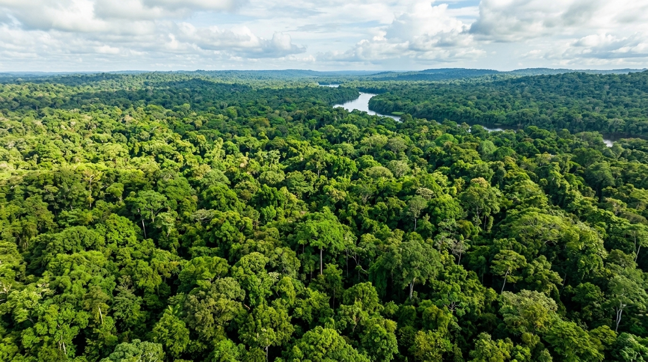 Amazon trees emitted never-before-seen chemicals during drought