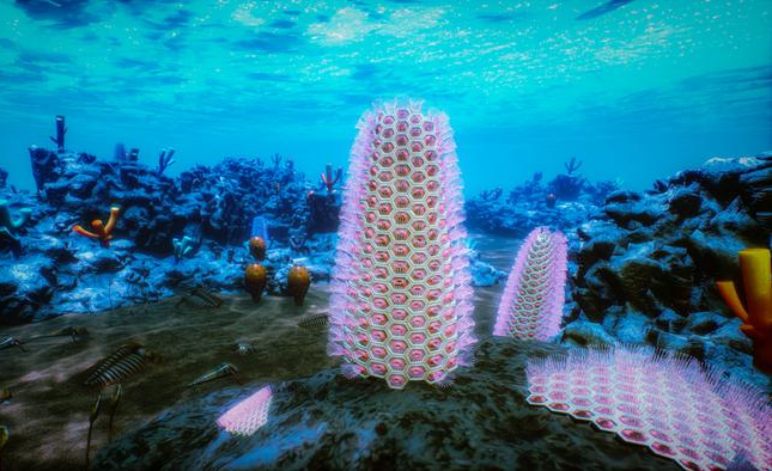 Tiny fossils solve a decades-old mystery about early animal life