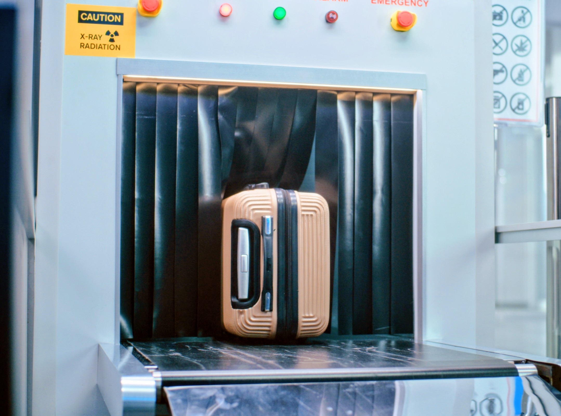 AI helps airports spot smuggled wildlife hidden in luggage