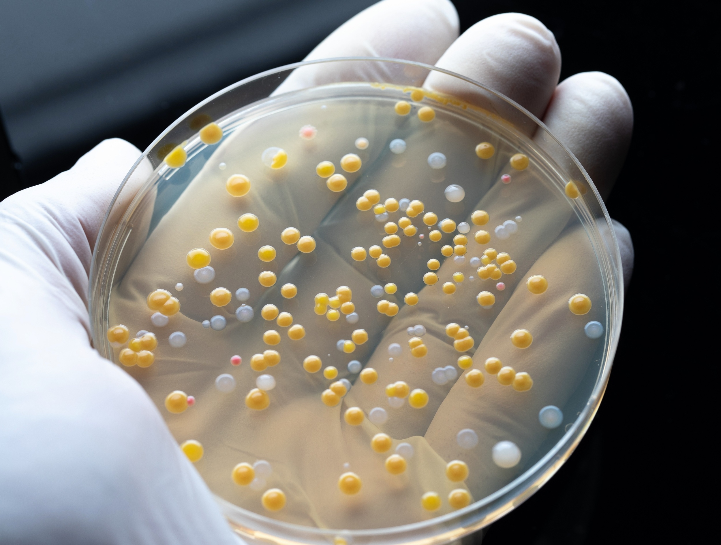 Antibiotic leftovers in treated wastewater may fuel resistance