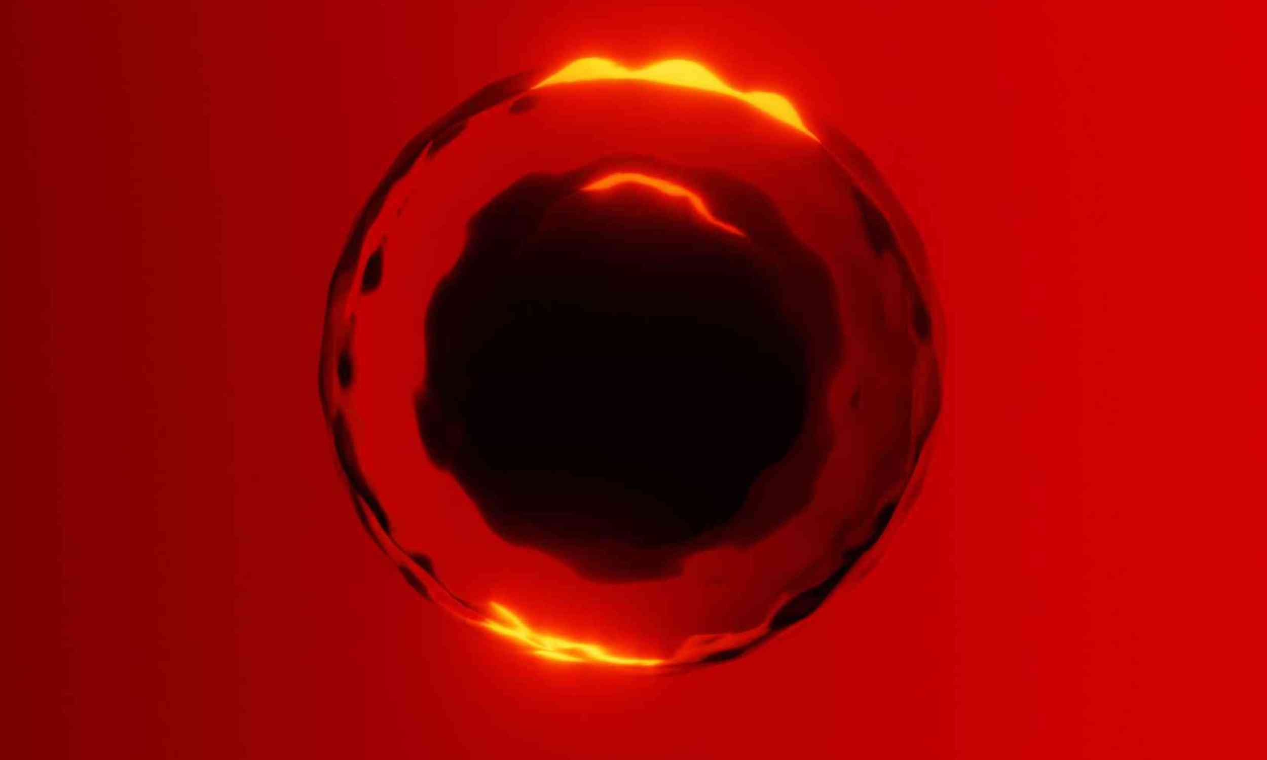 A tiny embryo signal may help explain how the body begins to build itself