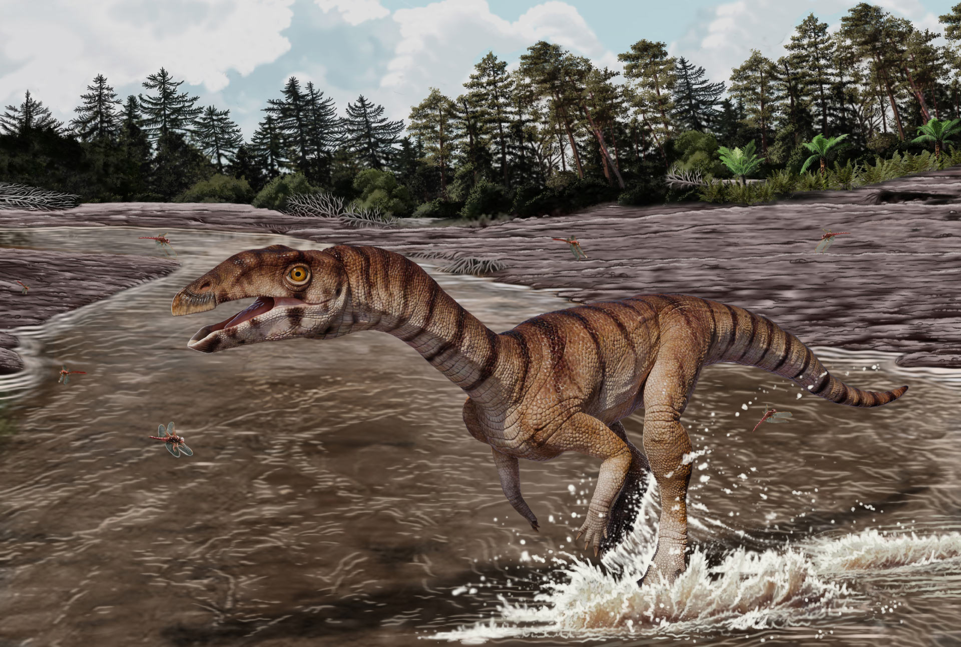 Scientists have finally identified the New Mexico reptile that had puzzled paleontologists for decades