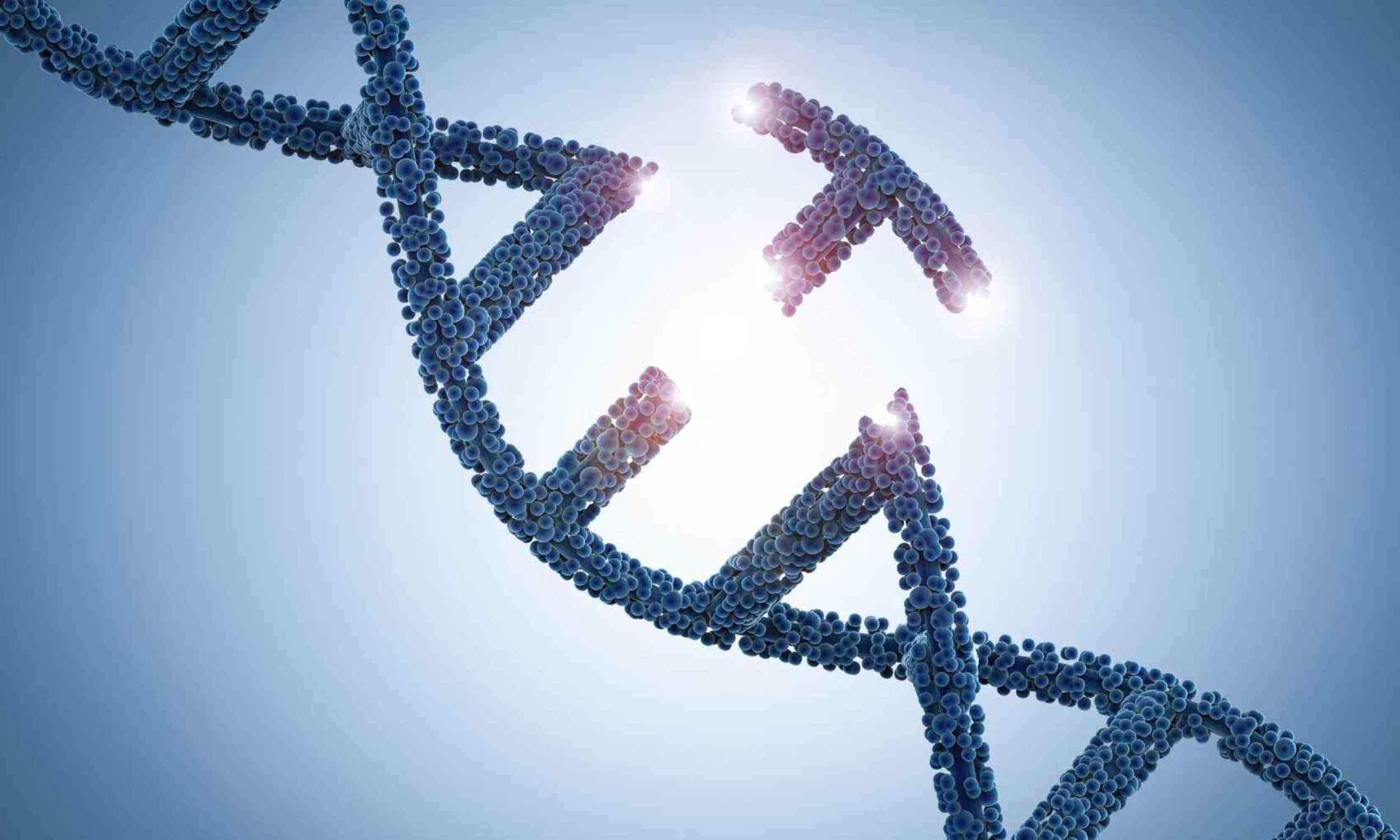 Scientists found a tiny DNA repair clue that may help explain how cells prevent dangerous mutations