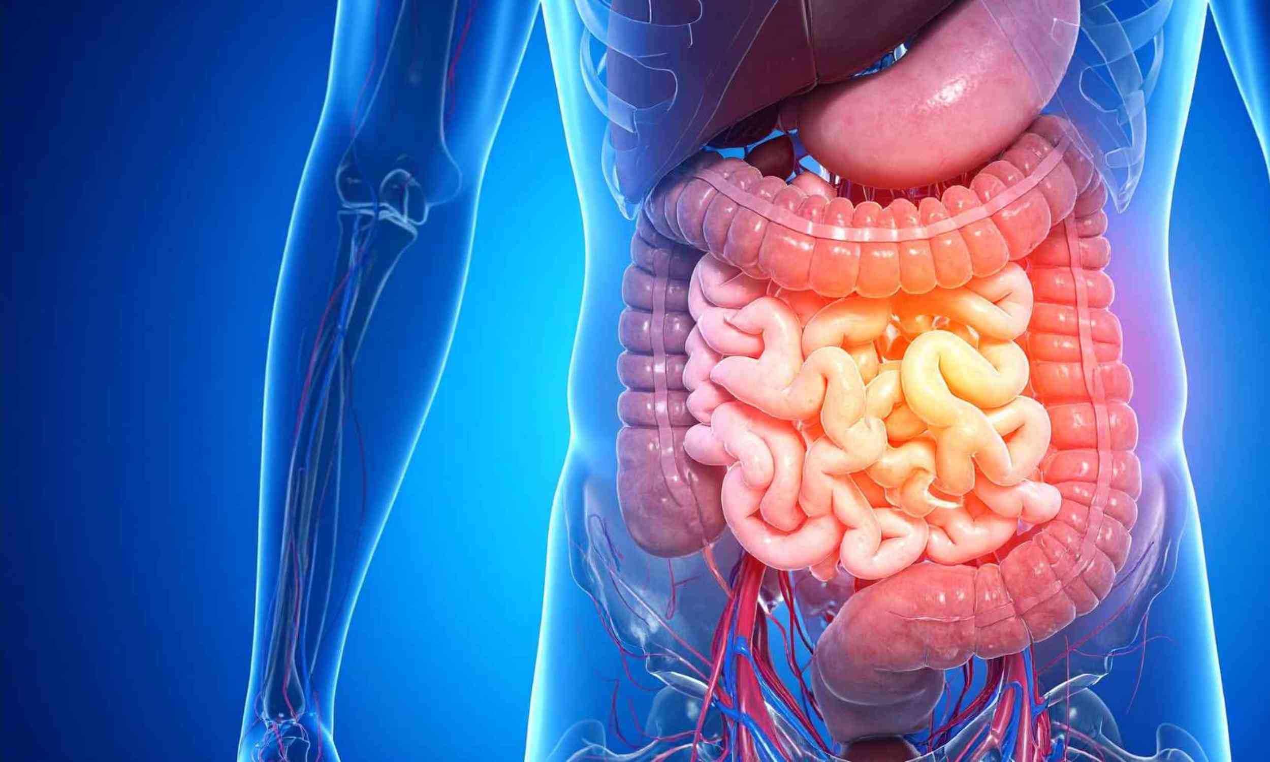 Scientists turned a tiny parasite into a living drug factory