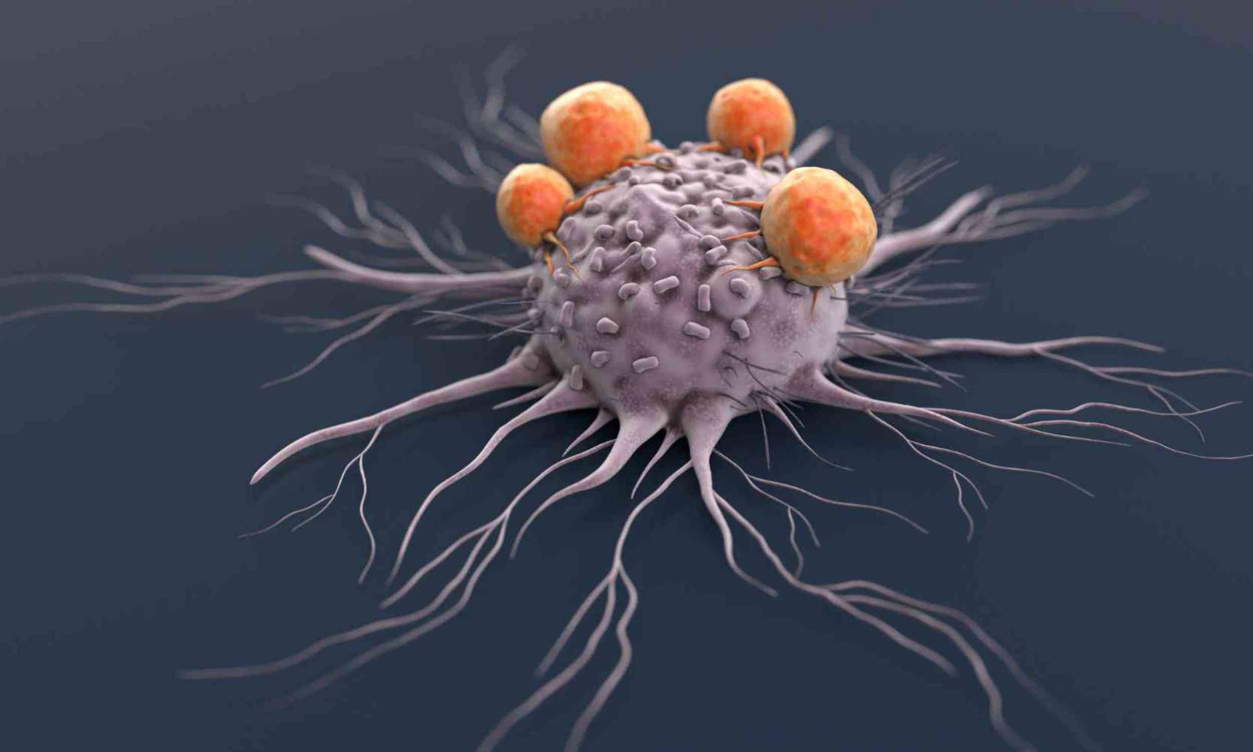 A new tumor map shows why powerful cancer drugs may never reach the cells they need to hit