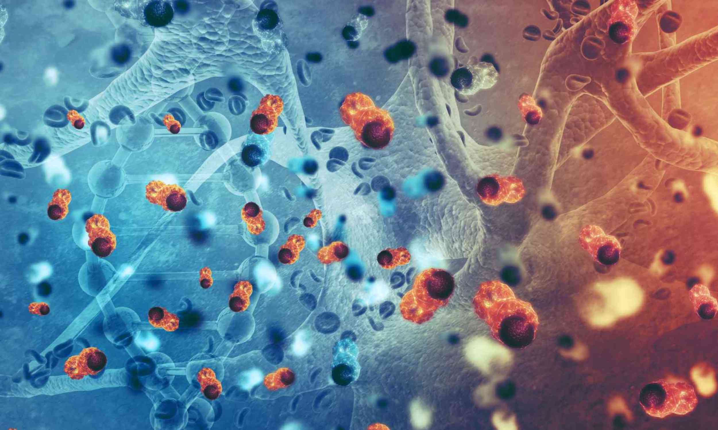 An off switch may keep cancer-fighting T cells alive longer