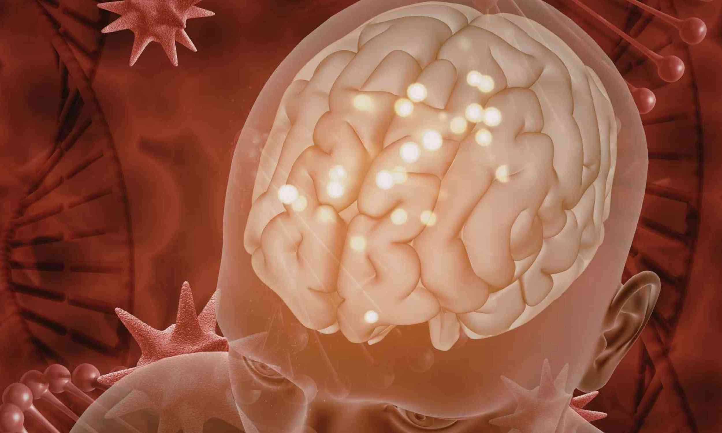 Researchers identified a brain cancer switch that can turn normal cells into tumors