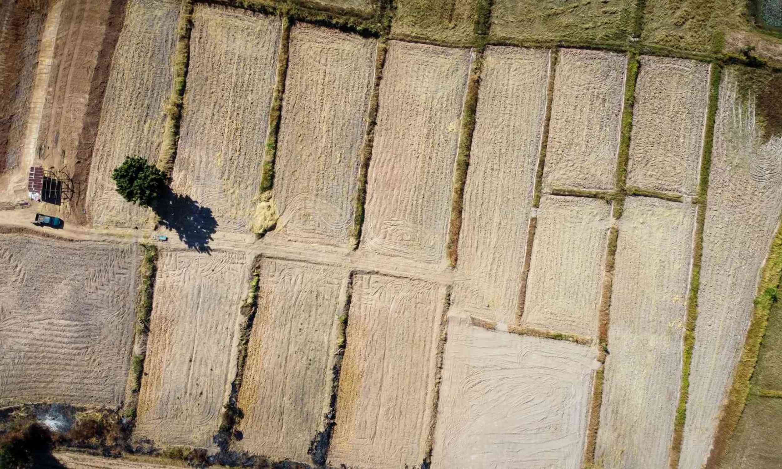 Dry landscapes may be leaking carbon, and human activity is helping unlock it