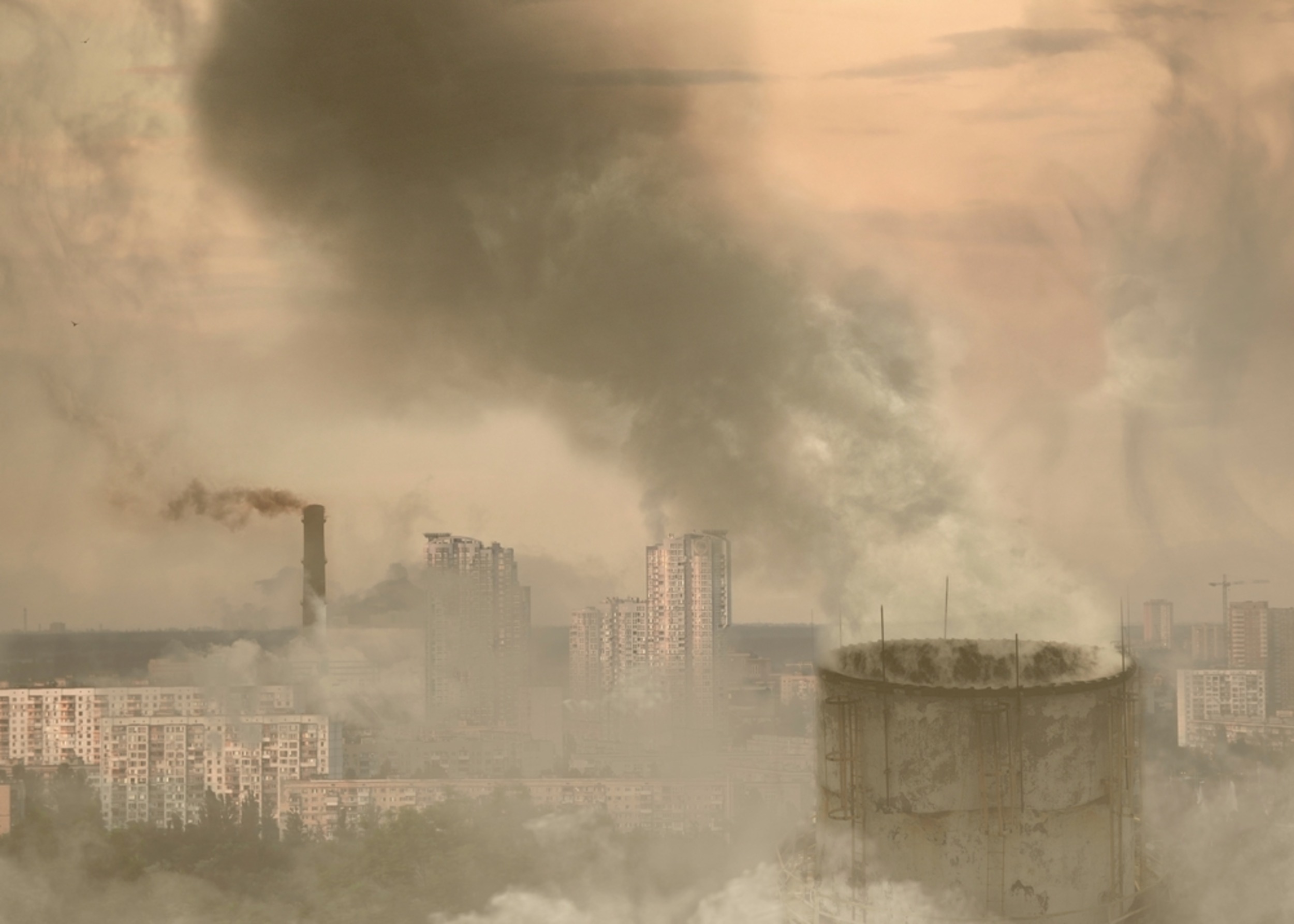 Air pollution may harm both your gut and heart