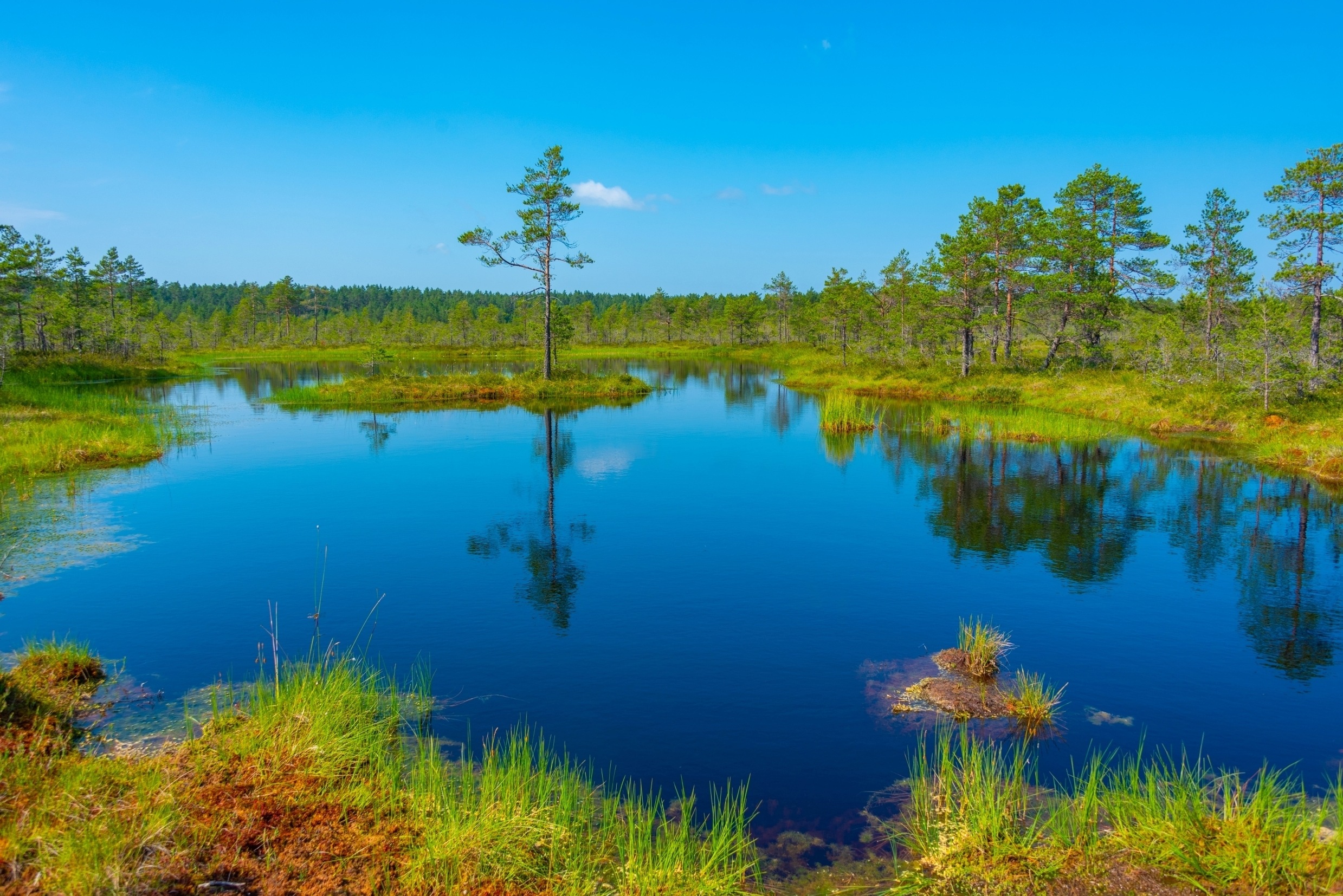 Warming unleashes more methane from lakes, rivers, and wetlands