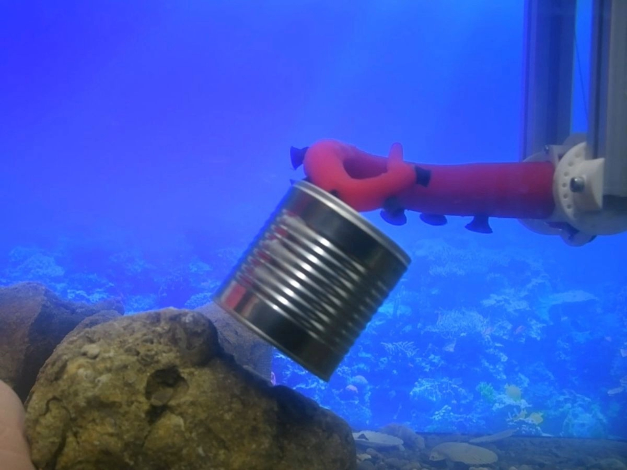 Octopus-inspired robot arm can sense and grip on its own
