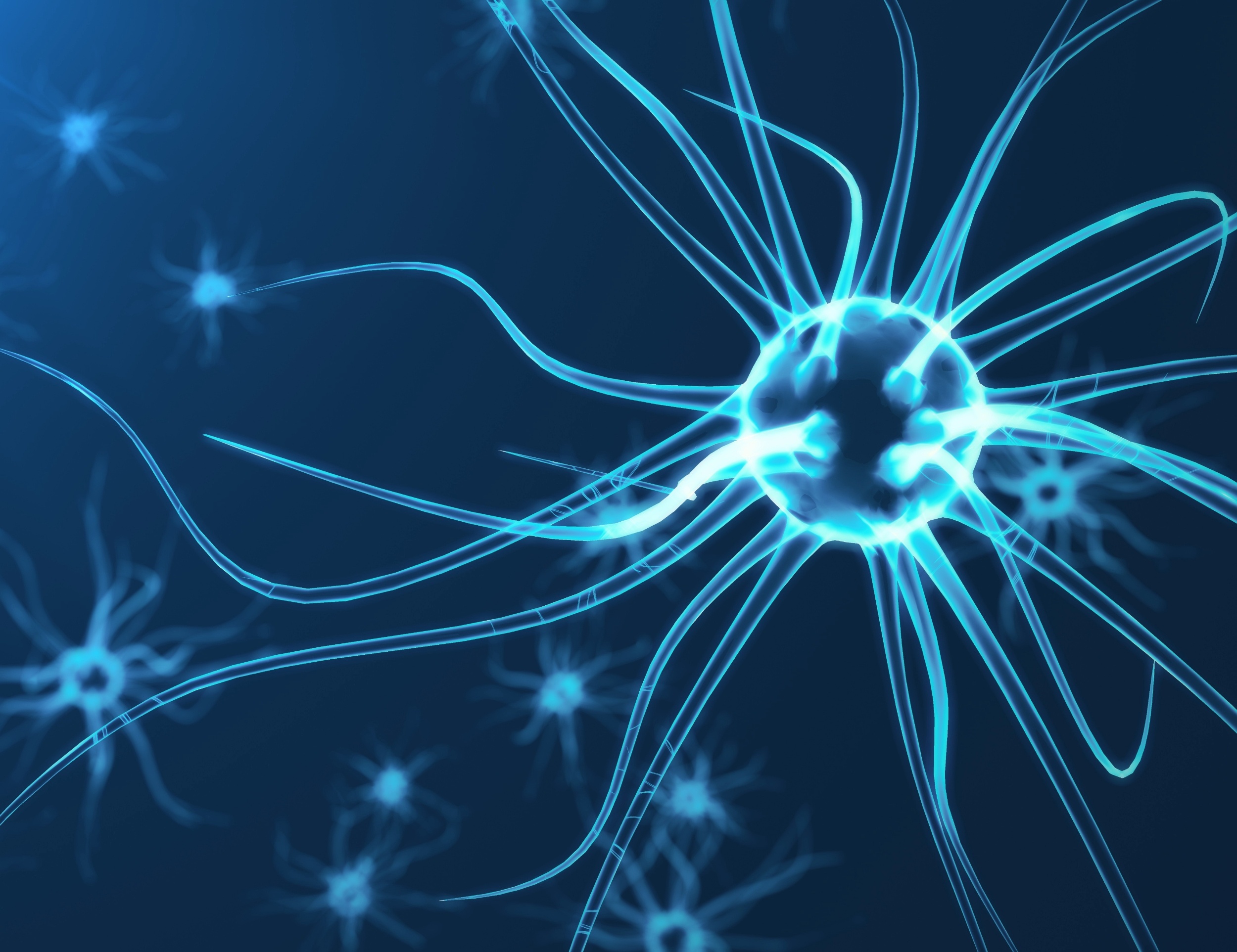 Female brains use a unique pathway to store fear memories