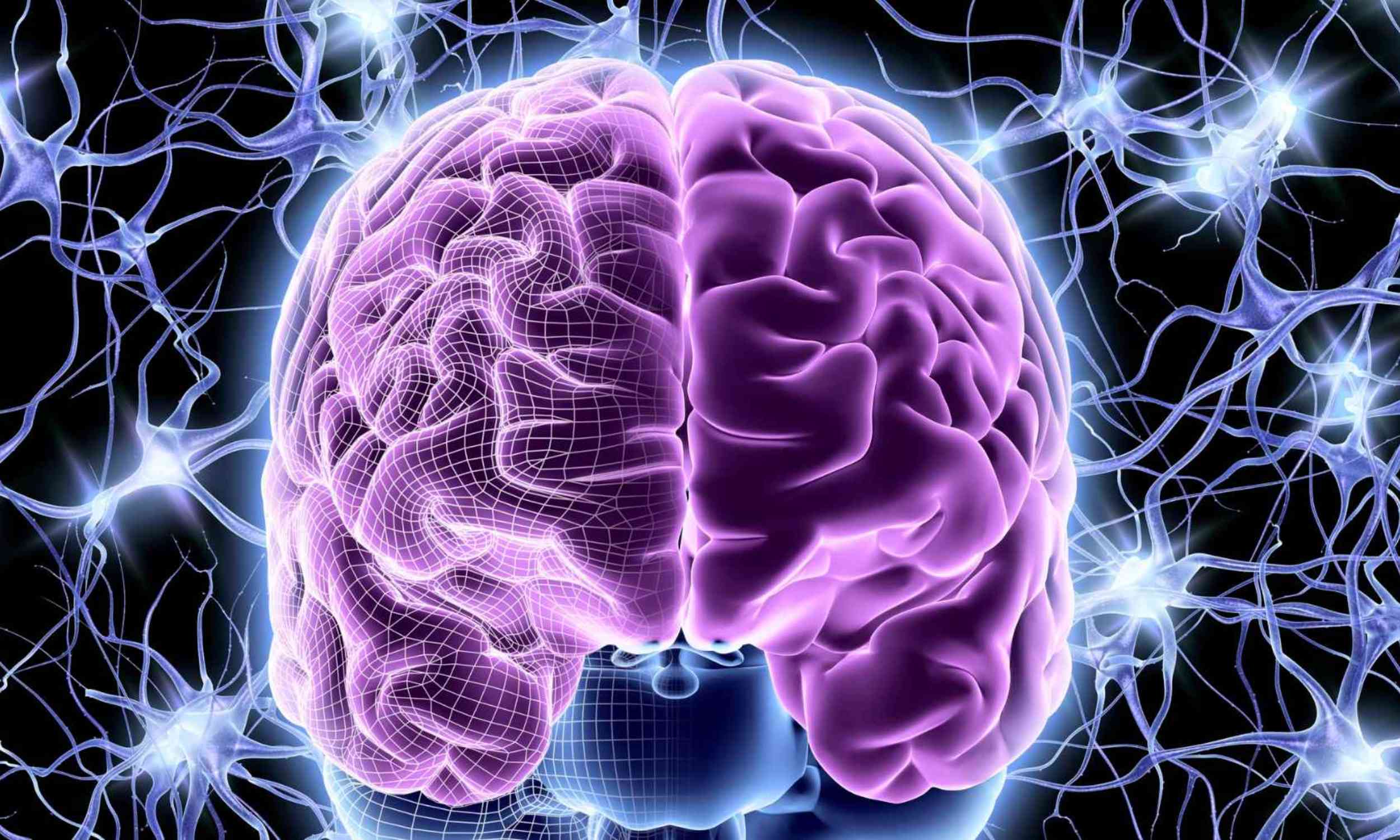 Alzheimer’s may have an inflammation switch that scientists are learning to block