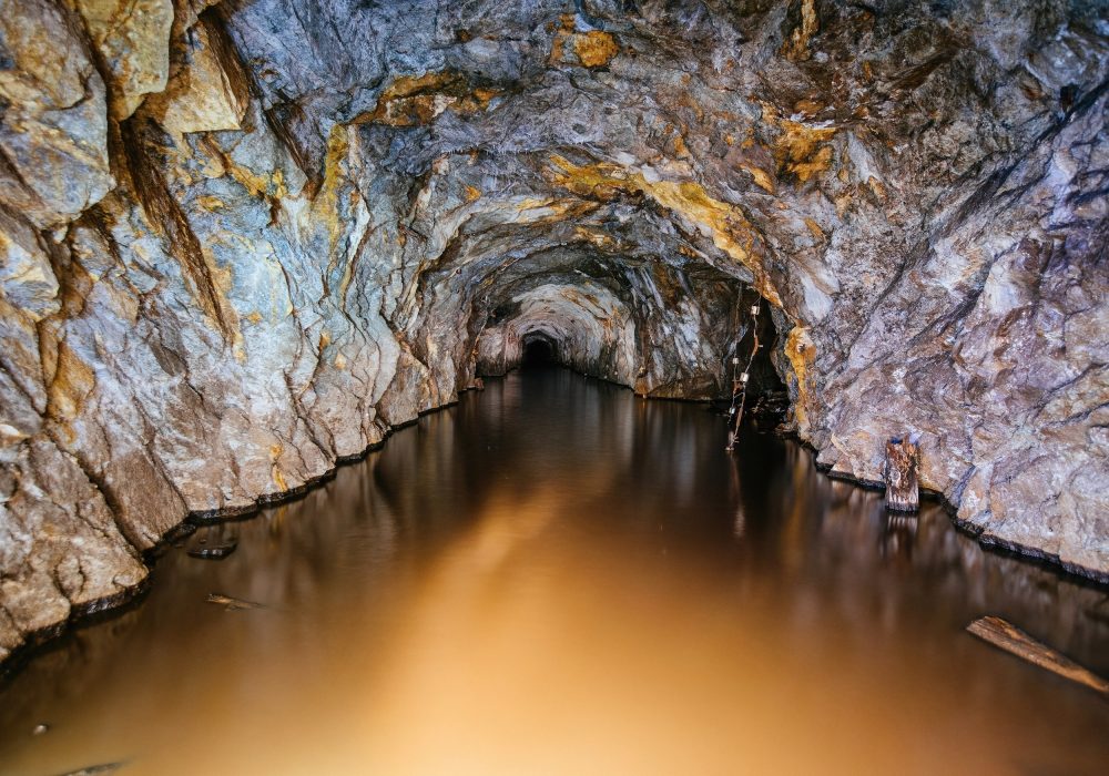 Underground microbial communities survive where life seems impossible