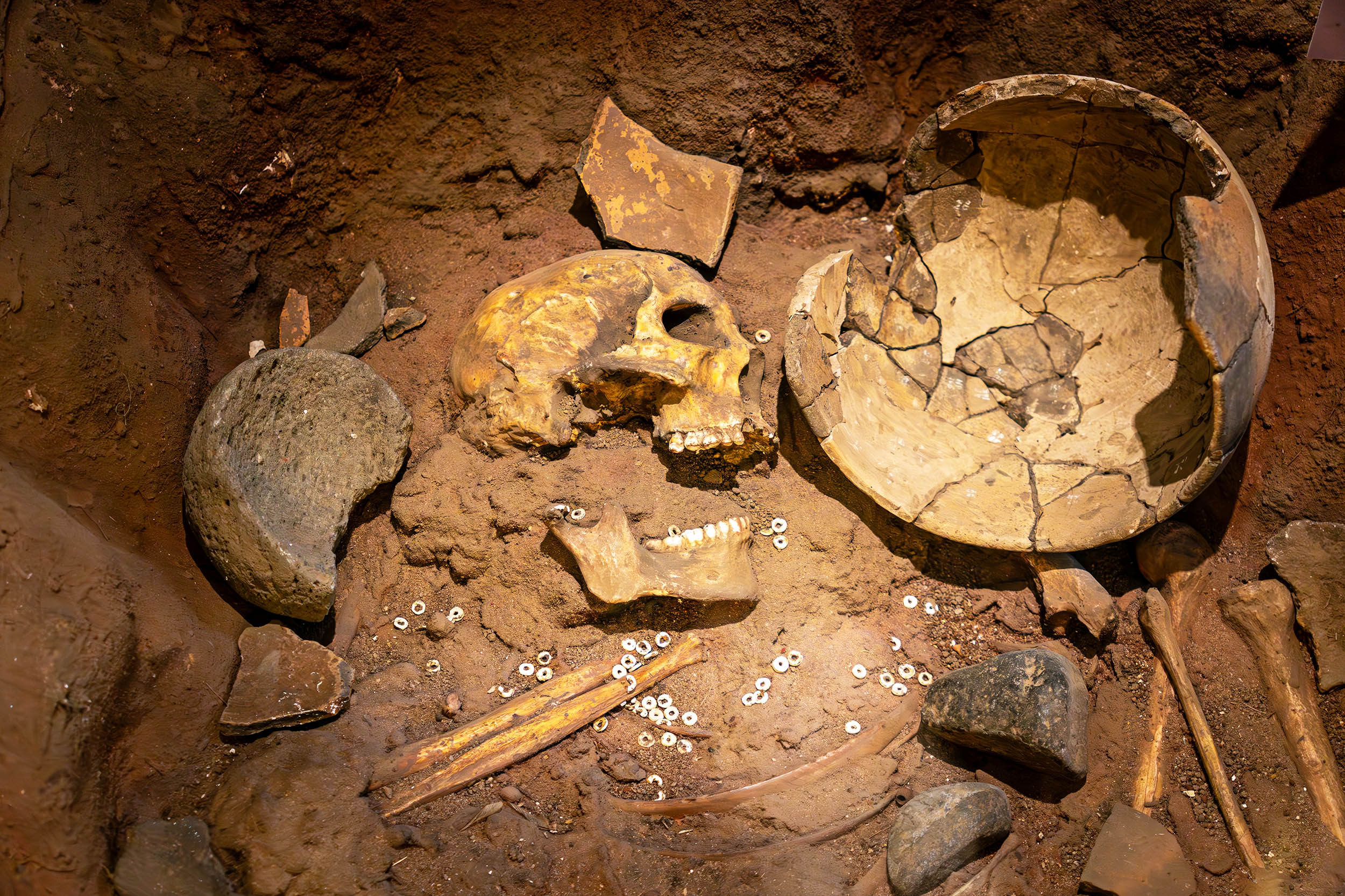 Early humans had detailed environmental knowledge and advanced tool making abilities over 800,000 years ago