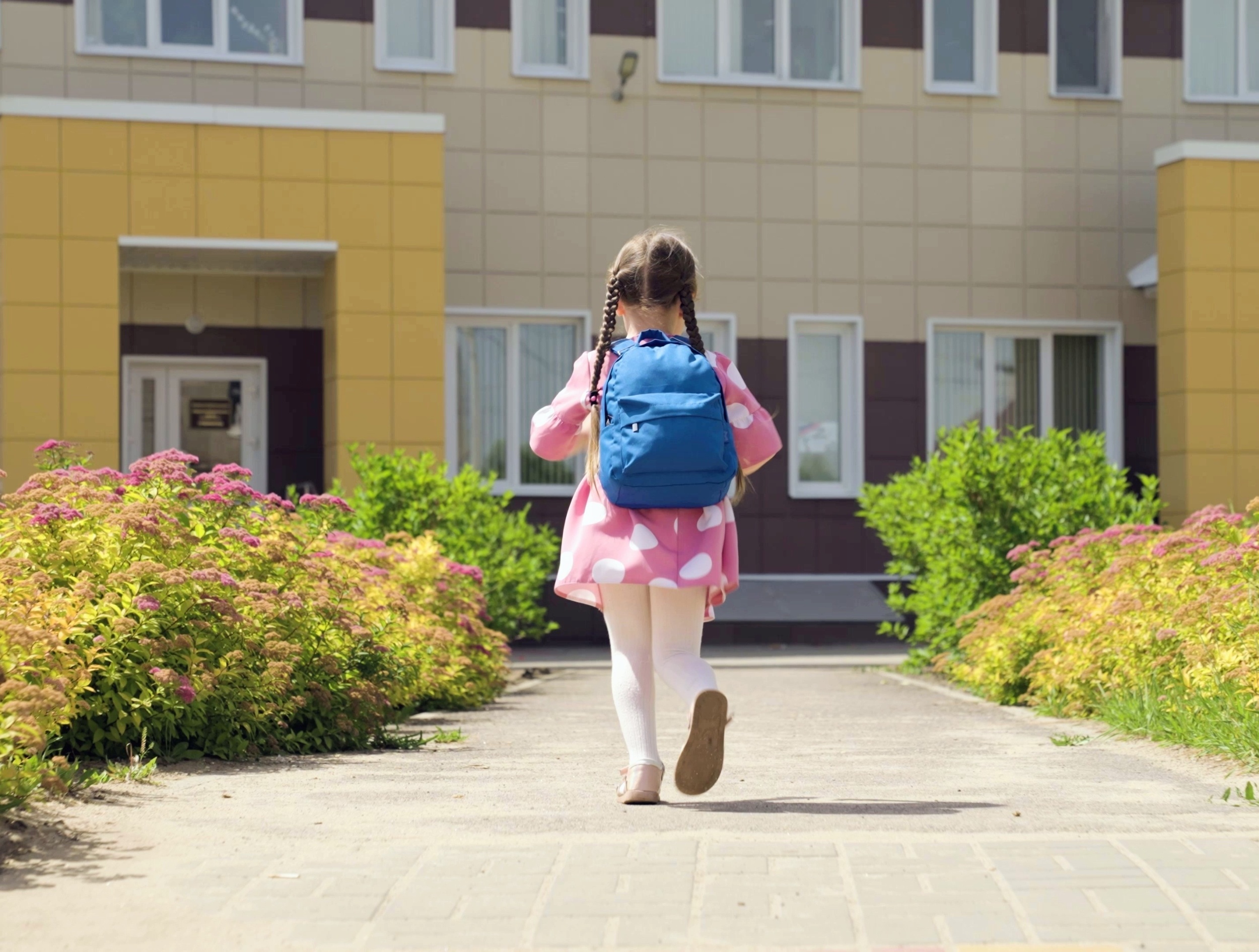 What influences a child's brain development? One factor stands out