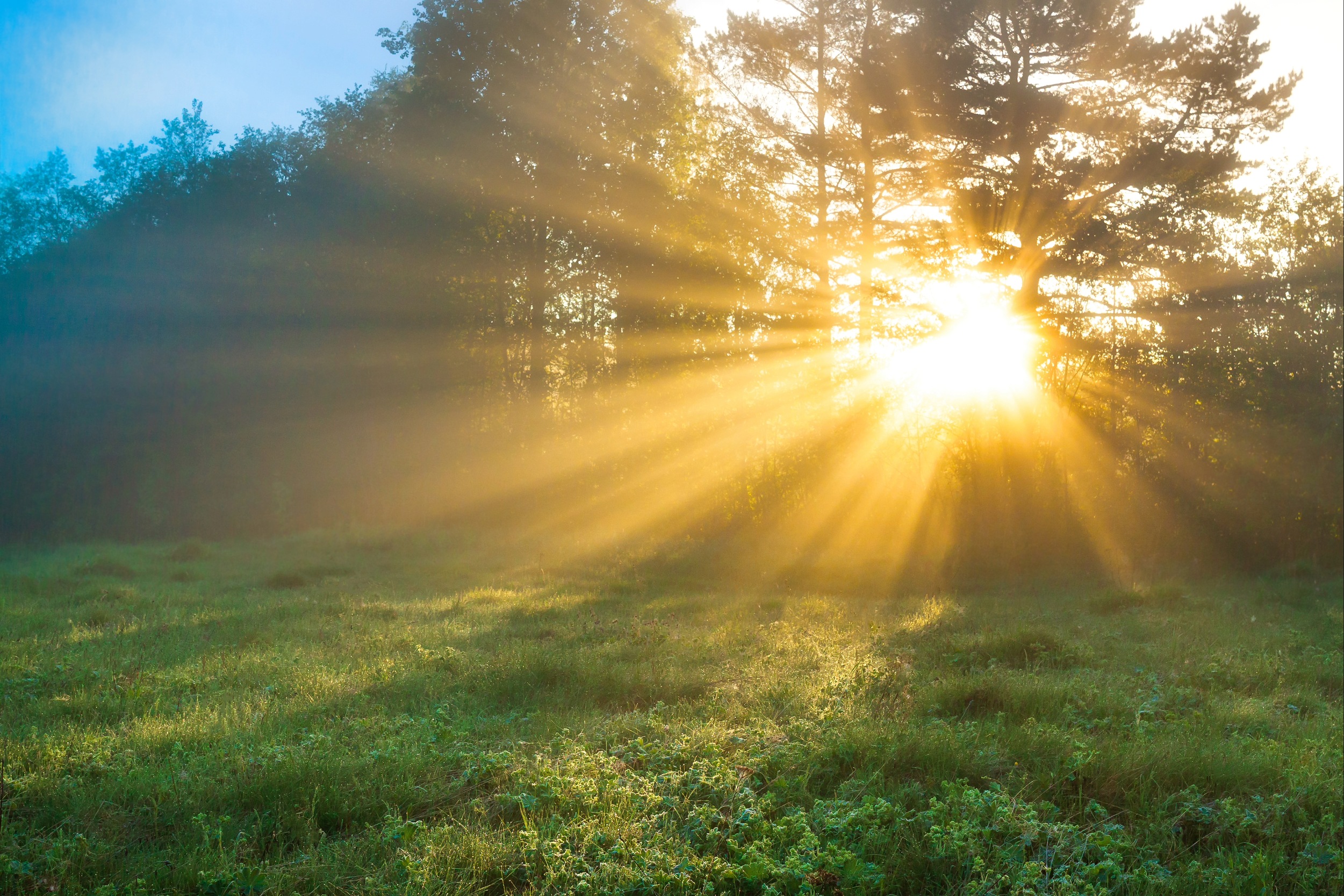 Climate change is redistributing sunlight across the planet