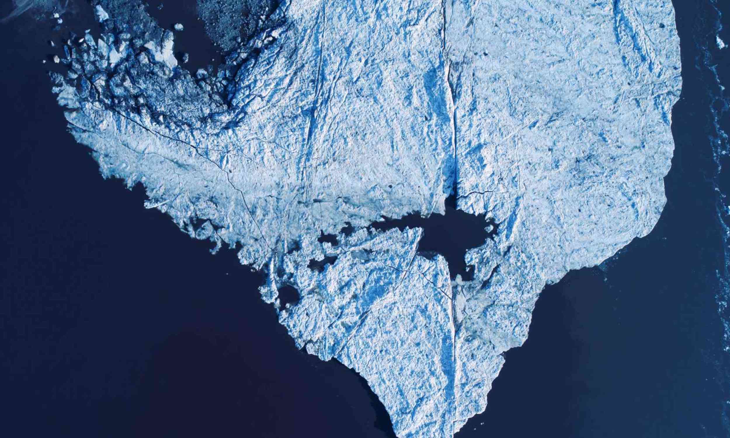 Ancient DNA from the ocean floor shows what might happen when Arctic sea ice disappears