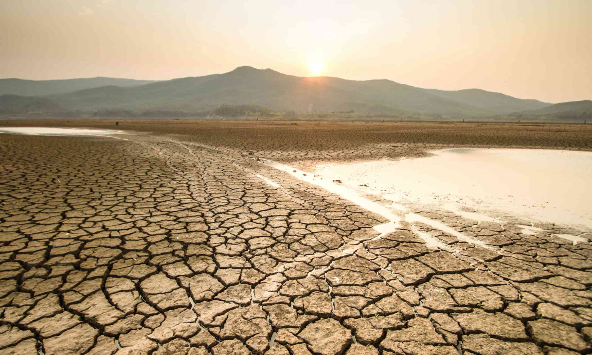 Wet soil is a major factor that triggers and drives extreme heatwaves around the world