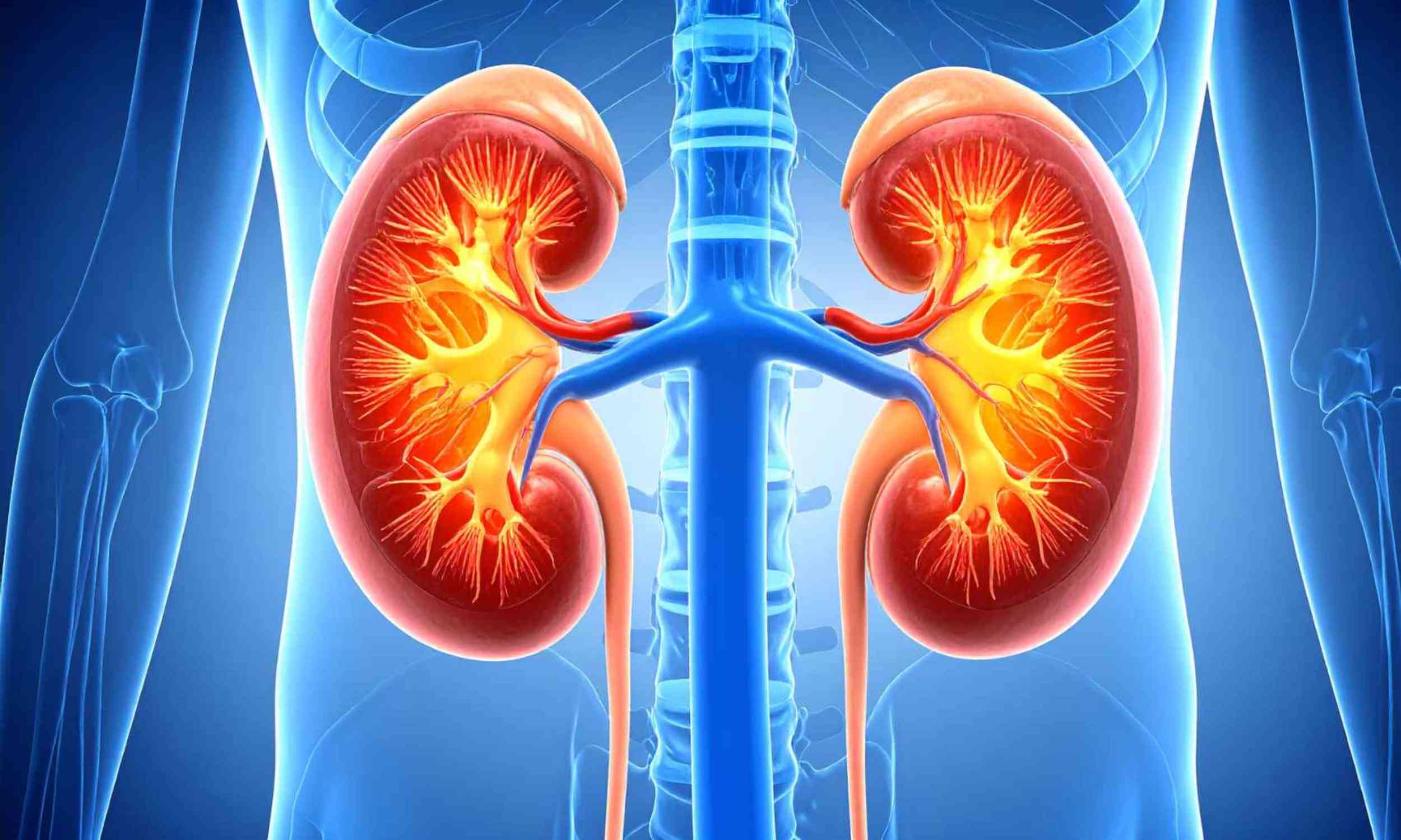 A kidney drug may have been helping far fewer people than it actually could