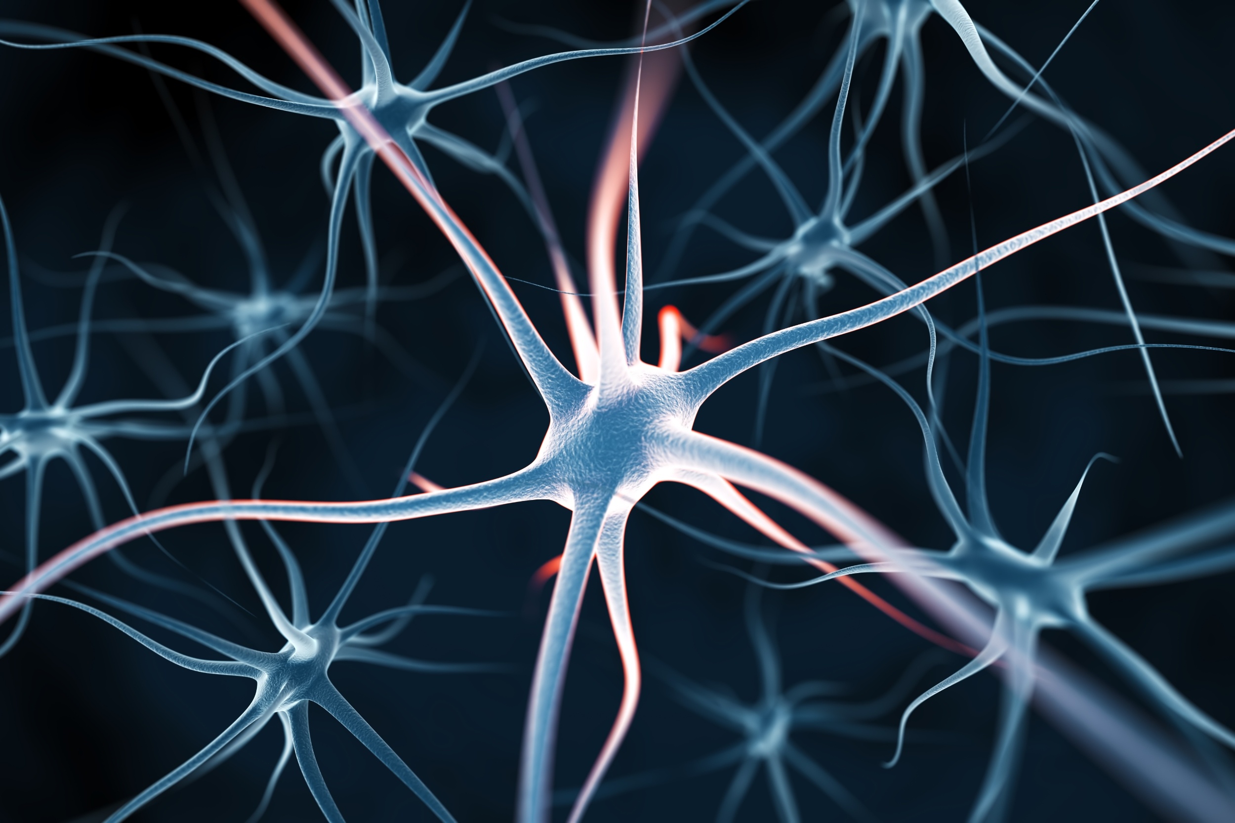 Why antidepressants make people feel worse before they feel better