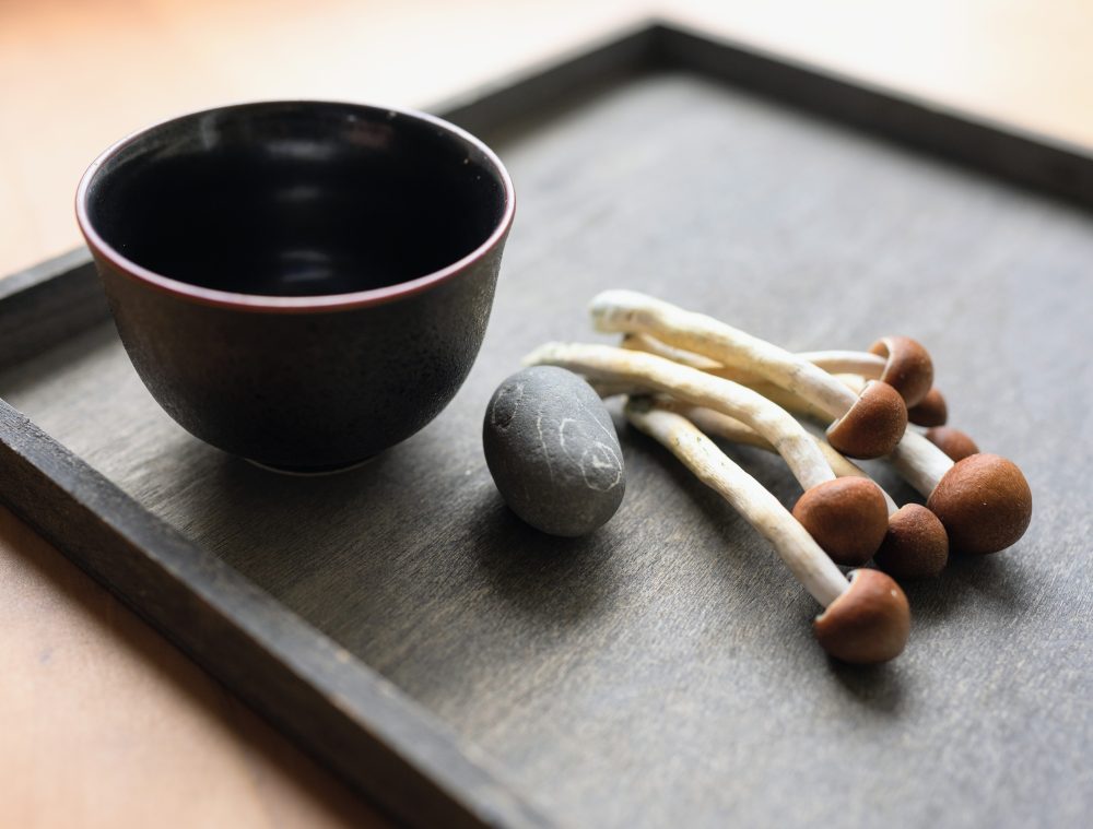 More than 8 million Americans used psilocybin last year