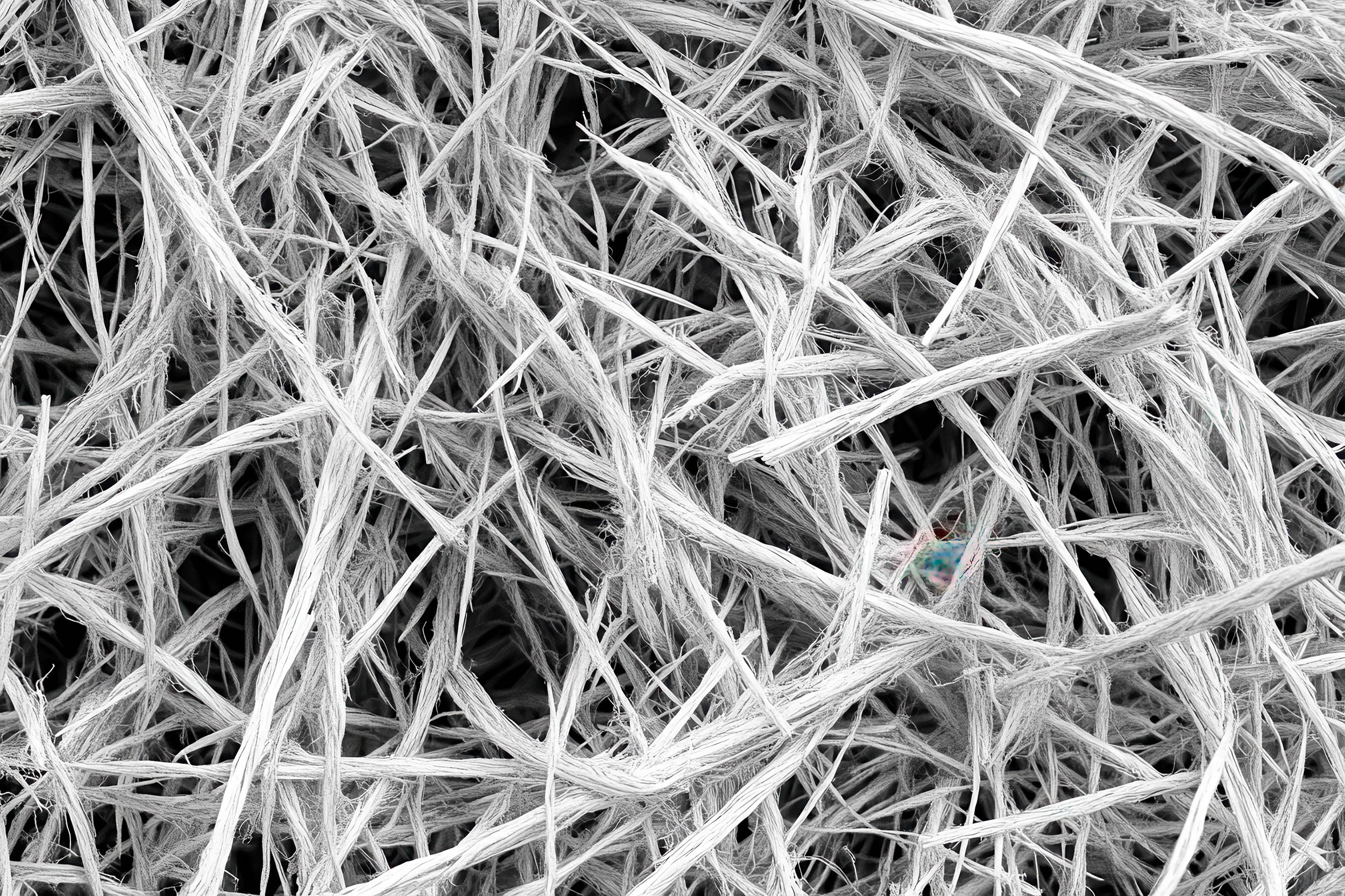 New 'super-material' made of strengthened plant fibers is remarkably strong, putting its performance on the same elite level as natural spider silk