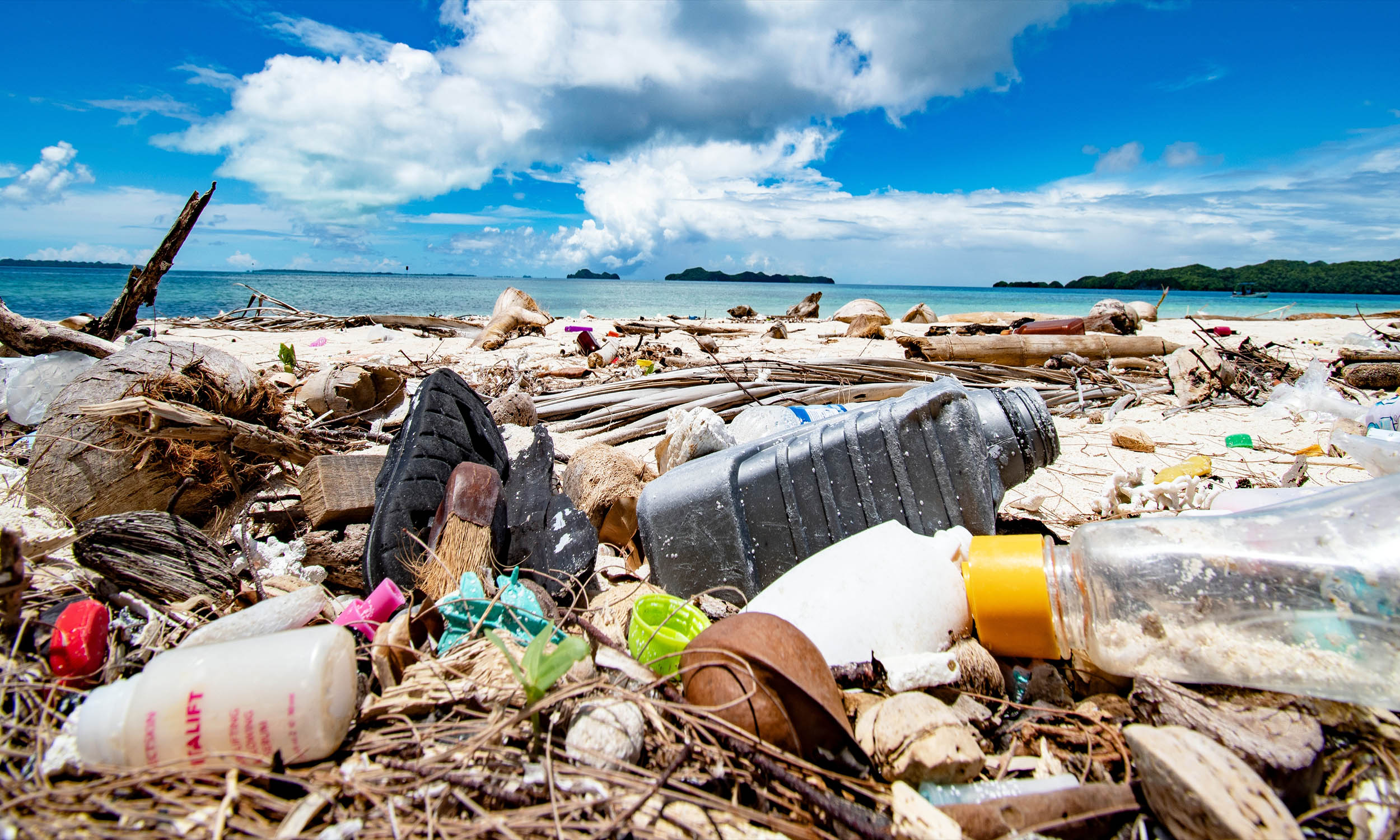 Ocean plastic pollution is harming the livelihoods and income of fishing communities around the world