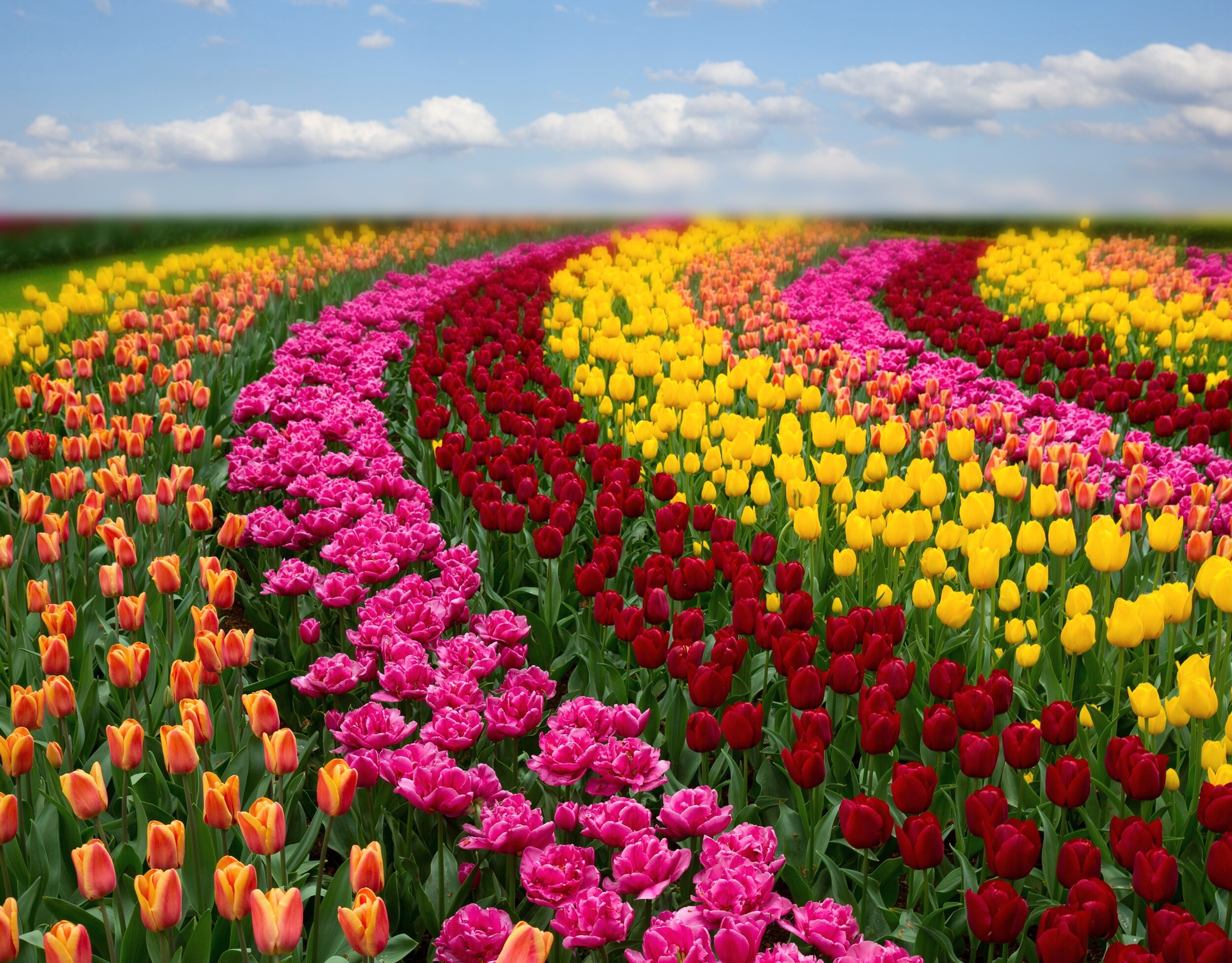 Scientists solve a 100-year-old mystery hidden in every color you see
