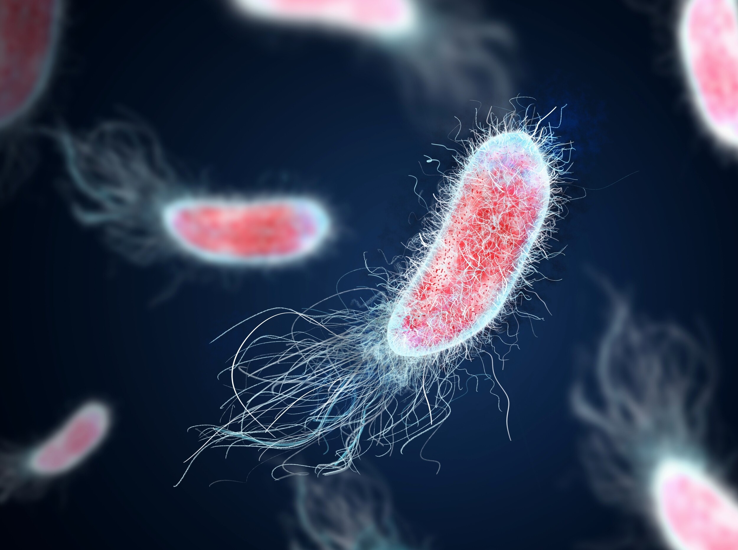 Bacteria travel in massive groups and carry non-swimmers along